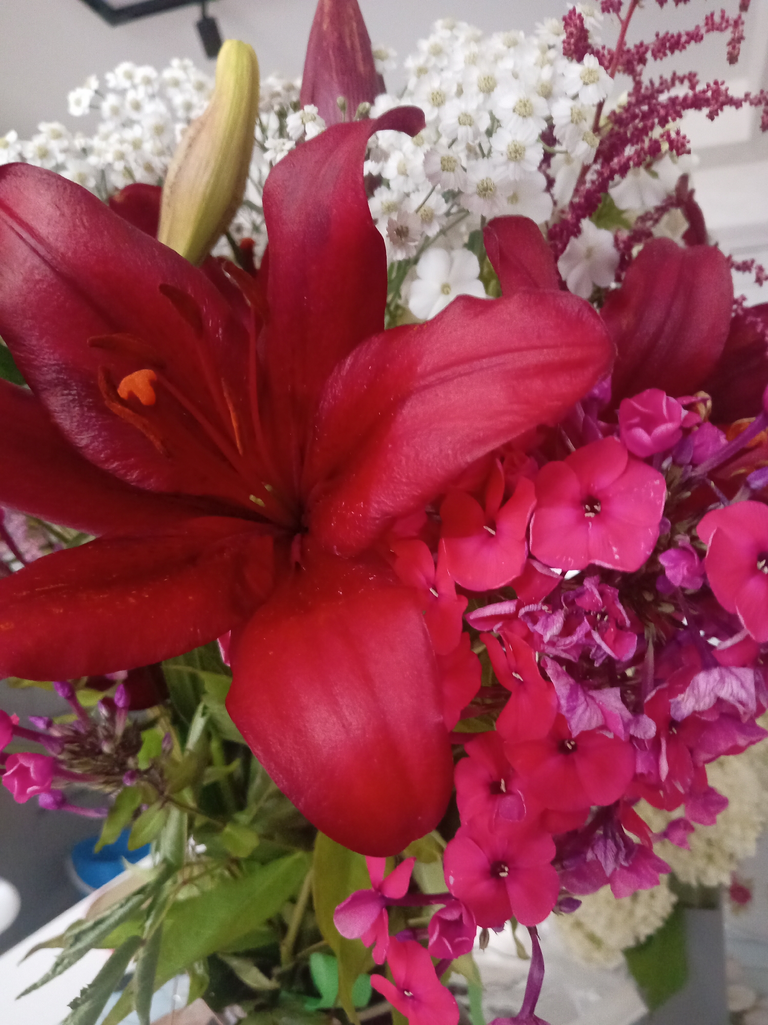 A close-up, high-angle shot captures a vibrant bouquet of flowers. The foreground is dominated by large, deep red lily petals, their velvety texture emphasized by the lighting. Behind the lilies, a cluster of smaller, bright pink phlox blooms adds a contrasting pop of color. In the background, delicate white baby's breath and darker, burgundy-red filler flowers create a textured, airy effect. Green leaves and stems are interspersed throughout the arrangement, providing a natural base. The overall impression is one of lushness and natural beauty, with a focus on the rich, saturated colors and varied textures of the floral elements. The environment appears to be indoors, with a plain, light-colored background that allows the flowers to be the sole focal point. There are no people or specific identifiable landmarks present in the image, and therefore its location within Тулаўскі сельскі Савет, Belarus cannot be determined.