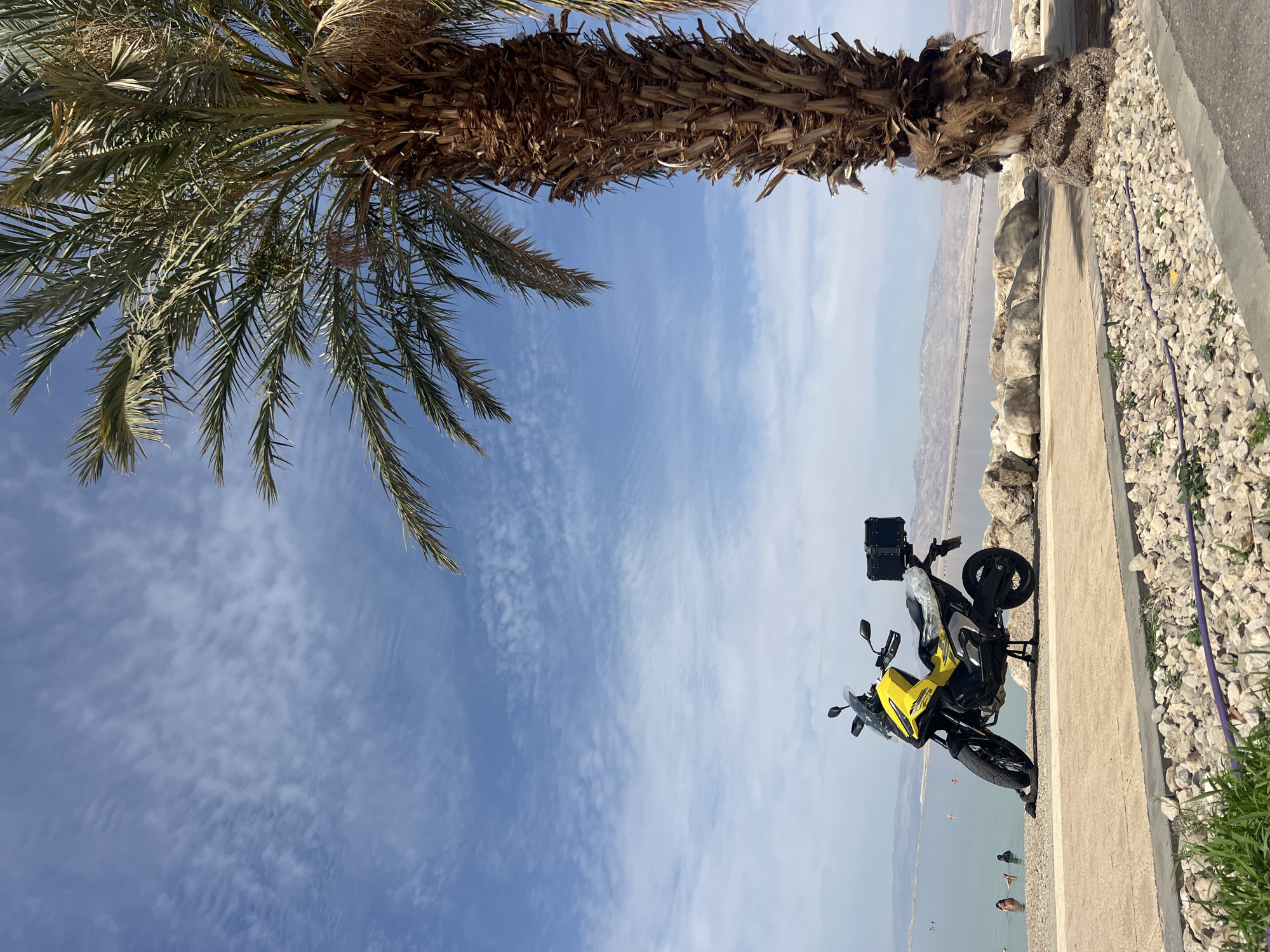 A horizontal, outdoor shot taken at a low angle shows a yellow and black motorcycle parked alongside a low, concrete wall overlooking the Dead Sea near the Tamar Regional Council in Israel.
A tall palm tree frames the top of the shot with its trunk extending along the top right and its fronds arcing across the upper left. The sky is blue with scattered white clouds. In the midground, the Dead Sea stretches to a distant shore of beige hills. People are scattered in the water near the foreground.
The motorcycle is parked perpendicular to the low, concrete wall that runs from right to left across the middle of the shot. A layer of small, white rocks with sparse vegetation sits behind the wall. A paved surface is adjacent to the rocks. The motorcycle is primarily yellow, with black accents and storage cases attached to the rear.