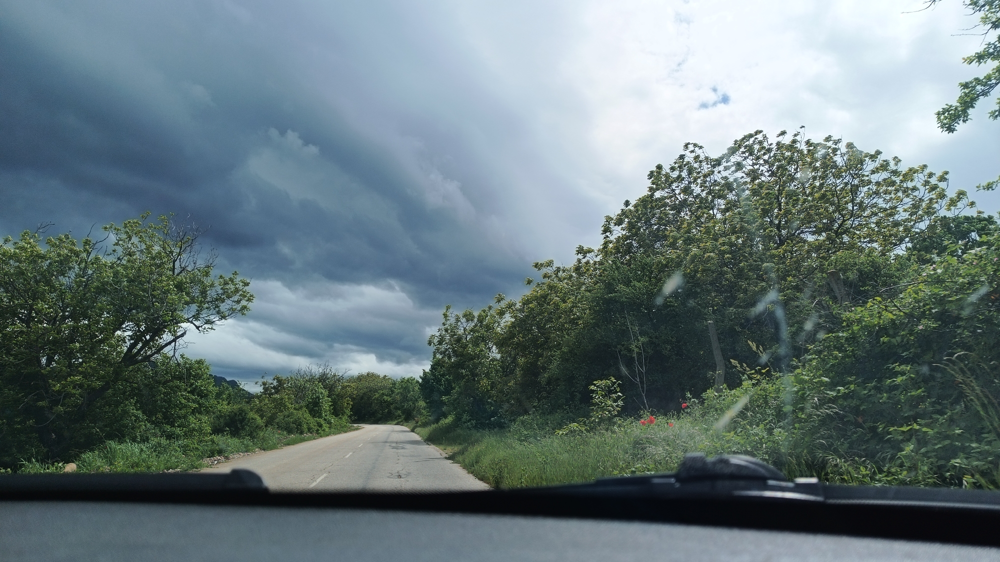 The image depicts a view from inside a vehicle driving on a road near Gornoslav, Bulgaria. The road is asphalt and has some cracks. The sky is overcast with dark, heavy clouds, suggesting an impending storm. The roadside is lined with lush green vegetation, including trees and grasses. Some red poppies are visible. The vehicle's dashboard is visible at the bottom of the frame, and there are some streaks on the windshield.