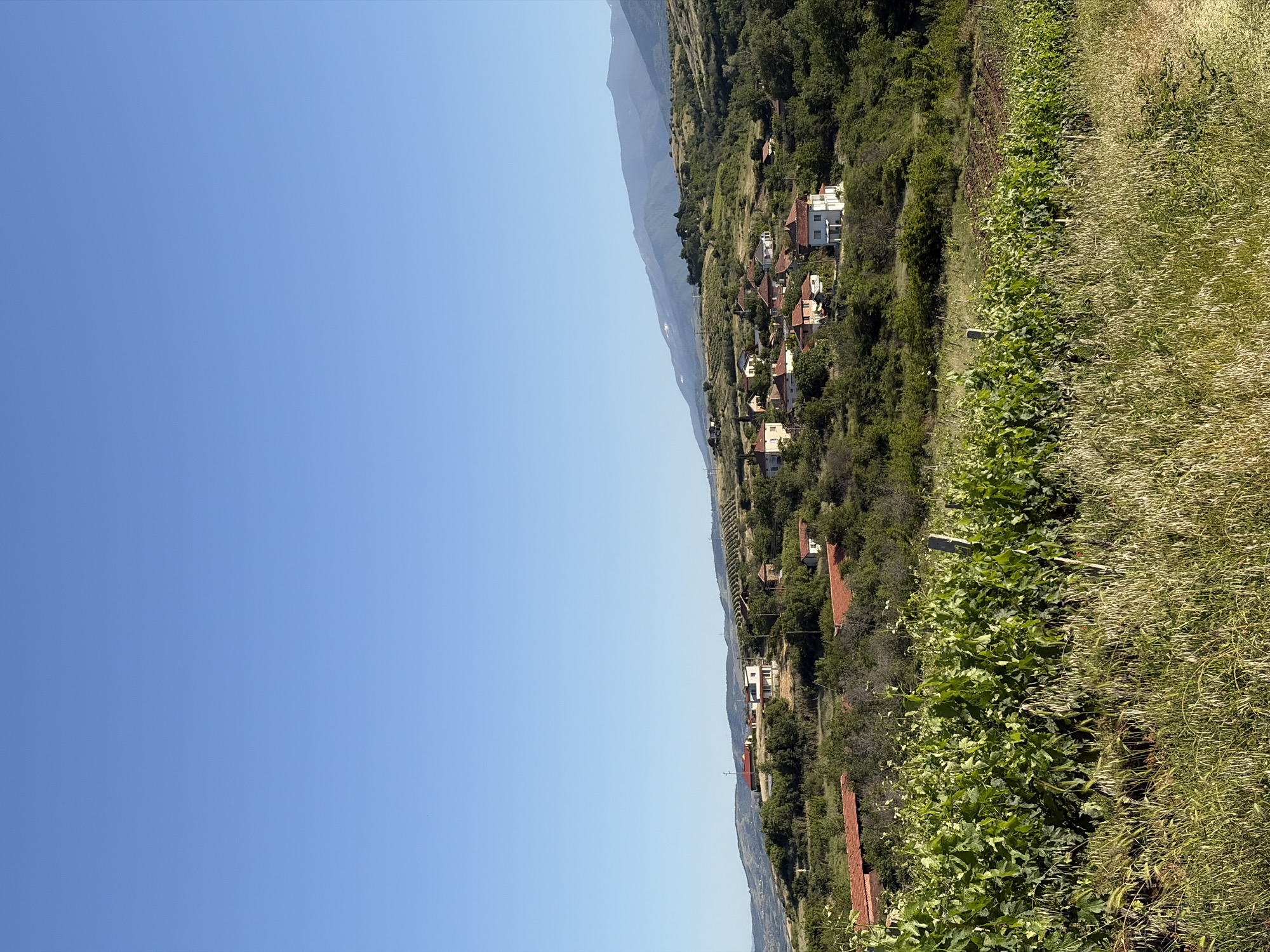 The image depicts a landscape with a clear blue sky covering the left portion of the view. On the right, a rural setting unfolds, featuring a hillside with scattered houses nestled among dense green trees. The structures vary in size and style, some with visible red-tiled roofs. A grassy area with tall, dry vegetation runs along the immediate right edge of the image, appearing as a natural boundary between the open sky and the built environment. Further in the distance, a faint outline of mountains can be seen in the background. The location is Unknown, Unknown.