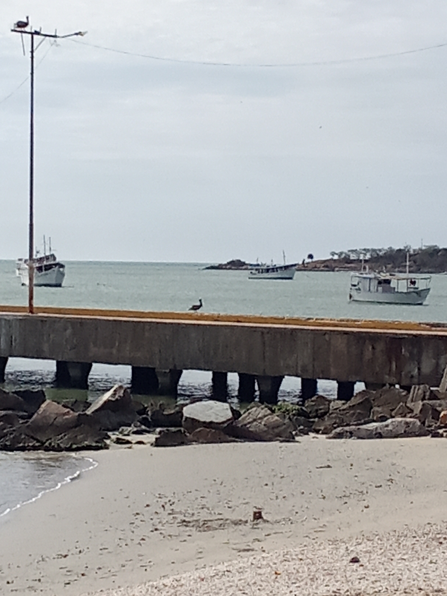 The image shows a coastal scene in Juan Griego, Venezuela. A concrete pier extends into the calm water, with three fishing boats anchored in the bay. A large bird stands on the pier. Rocks line the base of the pier where it meets the sandy beach. A light pole with a bird perched on top is on the left side of the pier. The sky is overcast, and the overall light is muted.