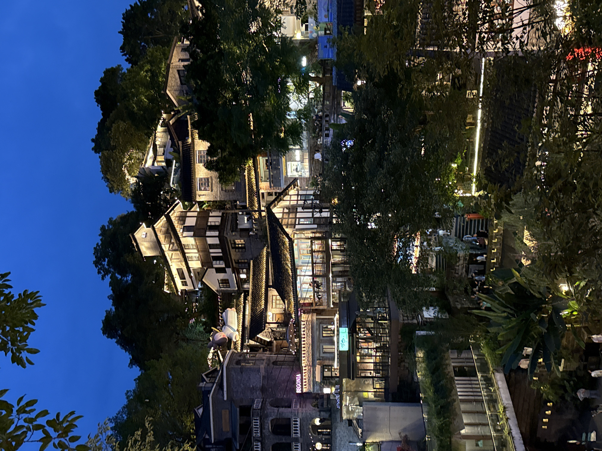 The photograph captures a night scene in Nan'an District, China. Illuminated buildings, some with timber framing, are nestled among trees under a dark blue sky. A sign with the word "REGONIA" is visible on one of the buildings. Lights are strung across some areas, enhancing the ambiance. People are present but appear small and blurred in the background. Vegetation is abundant, creating a contrast between the natural and constructed elements.