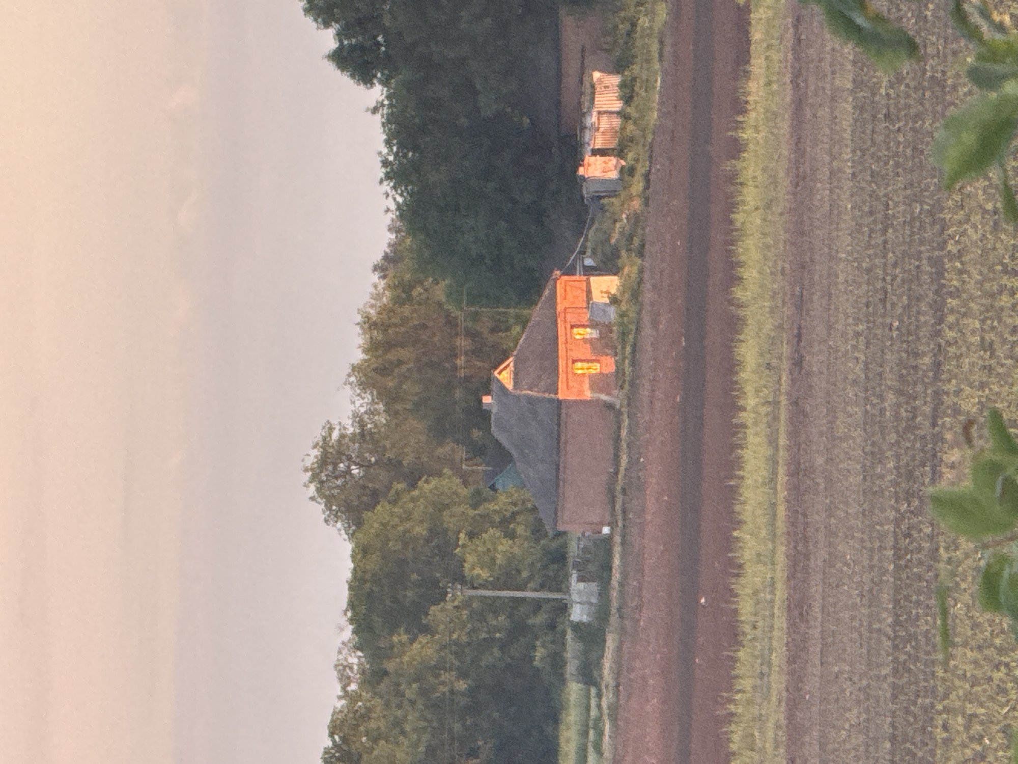 This image depicts a rural landscape in Ohuivka, Ukraine, at either sunrise or sunset, characterized by soft, warm, directional light. The upper third of the frame shows a pale, clear sky transitioning from a faint pinkish hue at the top to a lighter, almost off-white tone near the horizon. Below the sky, a dense line of dark green deciduous trees forms a backdrop across the mid-ground.
In the center-mid-ground, a single-story red-brick house with a dark gabled roof is prominently featured. Two windows on the visible facade glow brightly with an internal orange-yellow light or reflection of the low sun. A small, lighter-colored structure is attached to the right side of the house. To the immediate left of the house stands a concrete utility pole. To the right of the house, several smaller, indistinct outbuildings or sheds are visible, one appearing to be made of corrugated metal, reflecting the warm light. The ground surrounding these structures is uneven, with patches of dry grass and dirt.
The foreground is dominated by cultivated agricultural fields. Immediately below the structures is a narrow strip of lighter green or yellowish vegetation. Below this, a broad expanse of reddish-brown, freshly tilled or plowed earth shows distinct horizontal rows. The bottom portion of the image features a field of very young, small green plants or crops. Out-of-focus green foliage is visible at the very bottom edge of the frame, suggesting the vantage point is slightly elevated. No people or animals are present.