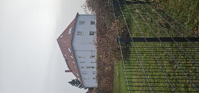 This image depicts an overcast outdoor scene in Kamenz - Kamjenc, Germany, focusing on a residential building from across a fenced yard.
In the foreground, a dark grey metal wire fence with vertical and horizontal bars runs diagonally, separating the viewer's position from a grassy area. The grass immediately around the fence is green with scattered dry leaves. Behind this fence, a strip of mown green lawn leads to a dense hedge composed of shrubs with a mixture of reddish-brown and green foliage, suggesting late autumn or early winter. Partially visible behind the hedge is a low brick wall constructed from red bricks.
The main subject is a two-story residential building located in the background. It features a light blue stucco exterior and a steep gabled roof covered with terracotta-colored tiles. Eight rectangular skylights are visible on the primary roof slope. A red brick chimney extends from the left side of the roof. The building has multiple white-framed rectangular windows, with six visible on the ground floor and five on the second floor on the facade facing the viewer. A dark green conifer tree is partially visible to the left of the building, its top extending above the roofline. The sky is uniformly light grey, indicating overcast conditions. No people or discernible actions are present in the scene.