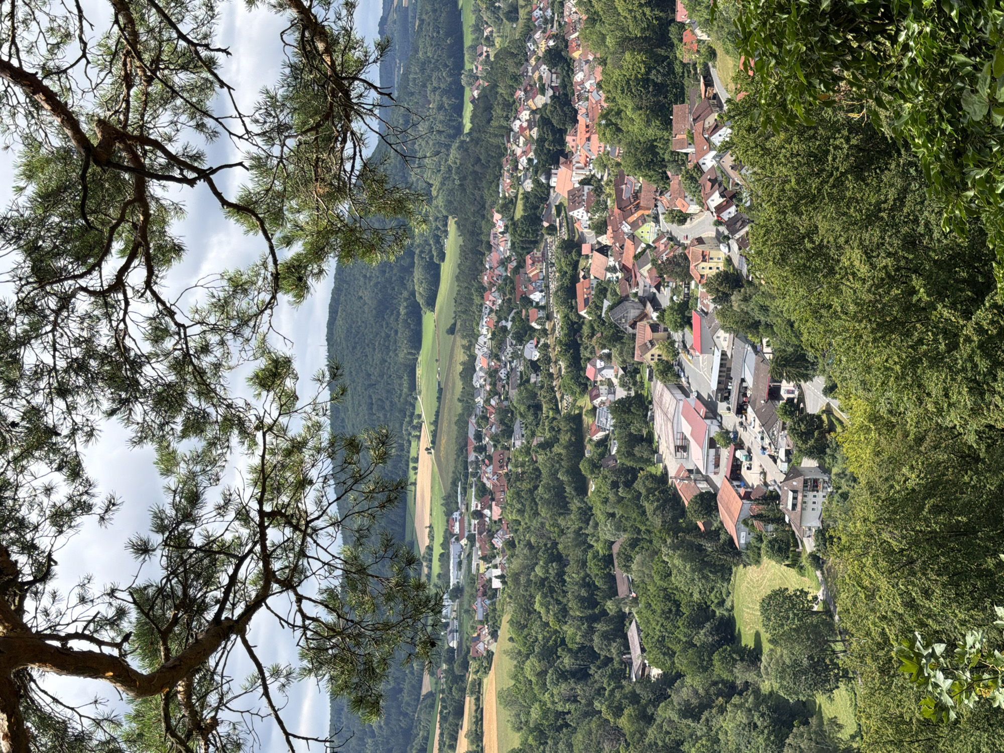 This image captures a panoramic view of the town of Heiligenstadt in Thuringia, Germany, as seen from an elevated vantage point, likely a hillside or a nearby viewpoint. The foreground is dominated by the branches and needles of a large pine tree, framing the scene below.
The town itself is nestled within a lush, green valley, surrounded by rolling hills covered in dense forests and interspersed with agricultural fields. The architecture of Heiligenstadt is characterized by numerous red-tiled roofs, typical of traditional German villages. Buildings are clustered together, forming streets and lanes that wind through the urban landscape. A prominent church with a dark dome stands out in the center of the town, suggesting it is a focal point.
Further into the distance, the landscape transitions to more hills and forests, with the sky above being partly cloudy. The overall impression is one of a peaceful, rural town set amidst a picturesque natural environment. There are no visible people or overt actions taking place in the image. The scene is tranquil and appears to be captured on a bright, possibly slightly overcast, day.