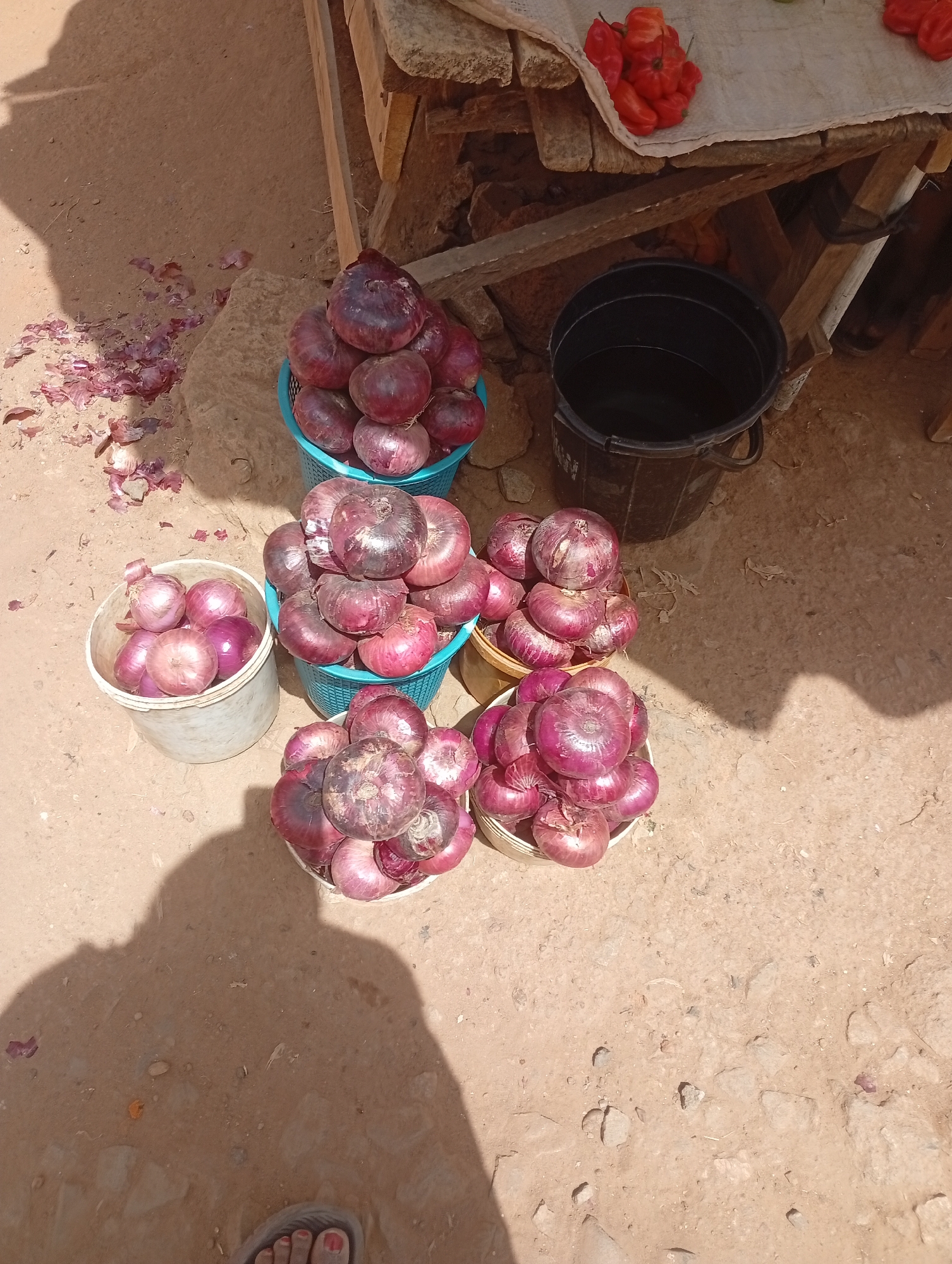 The scene is a ground-level outdoor market stall in Barnawa, Nigeria, displaying red onions. Five containers hold the onions: two blue plastic baskets, two beige plastic baskets, and one off-white plastic bucket. One blue basket is positioned near a wooden market table holding a collection of red peppers. Next to the table is a black bucket of water. Scattered onion skins are visible on the ground. A partial shadow is cast by a person standing taking the photo. A sandal-clad foot is visible in the lower center of the frame.