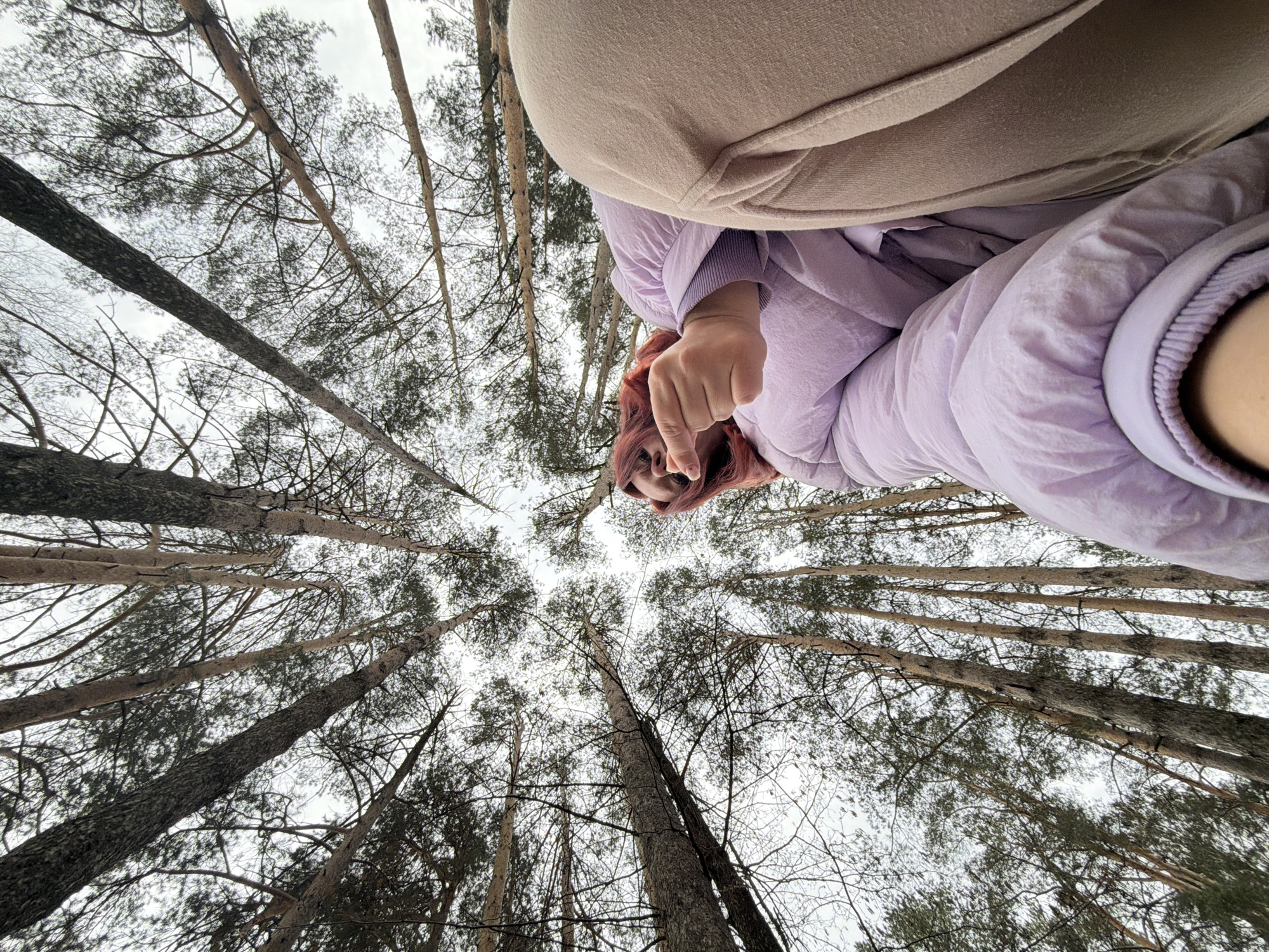 The image is a low-angle shot looking up into a forest in what appears to be Chaikovsky, Russia. Tall, bare trees fill most of the frame, their branches creating a dense network against an overcast sky. In the center foreground, a person with red hair is visible, wearing a light purple jacket and tan pants. The camera's perspective is from directly below the person. Their index finger is pointing downwards.