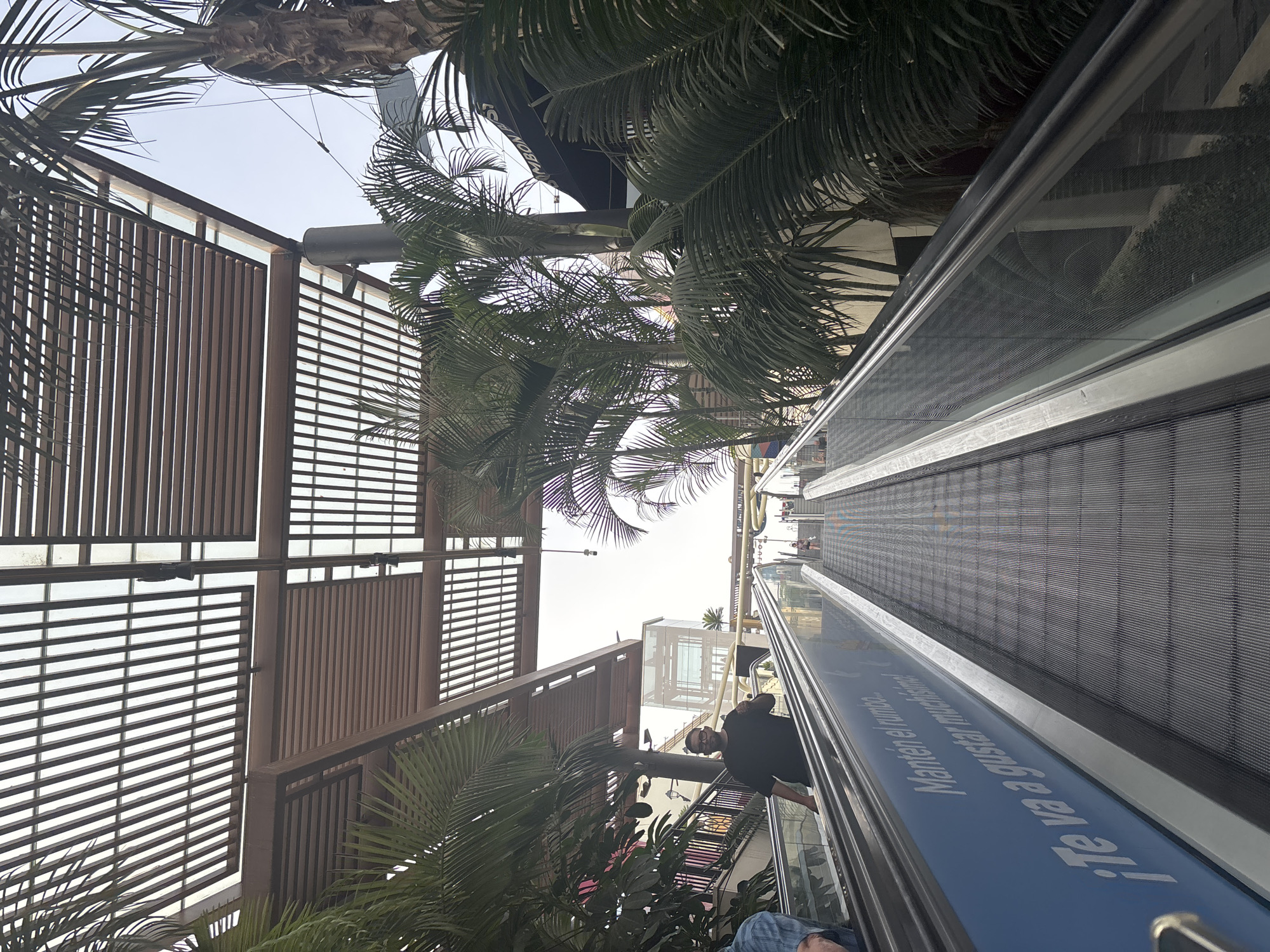 An outdoor escalator in Orihuela, Spain, ascends past lush palm trees and a wooden slatted canopy. A man wearing a black t-shirt and glasses rides the escalator, looking towards the camera and holding his hand up. Other individuals are visible further up the escalator. The escalator features a blue panel with white text that reads, "¡Te va a gustar muchísimo!". The scene suggests a modern commercial or leisure area.