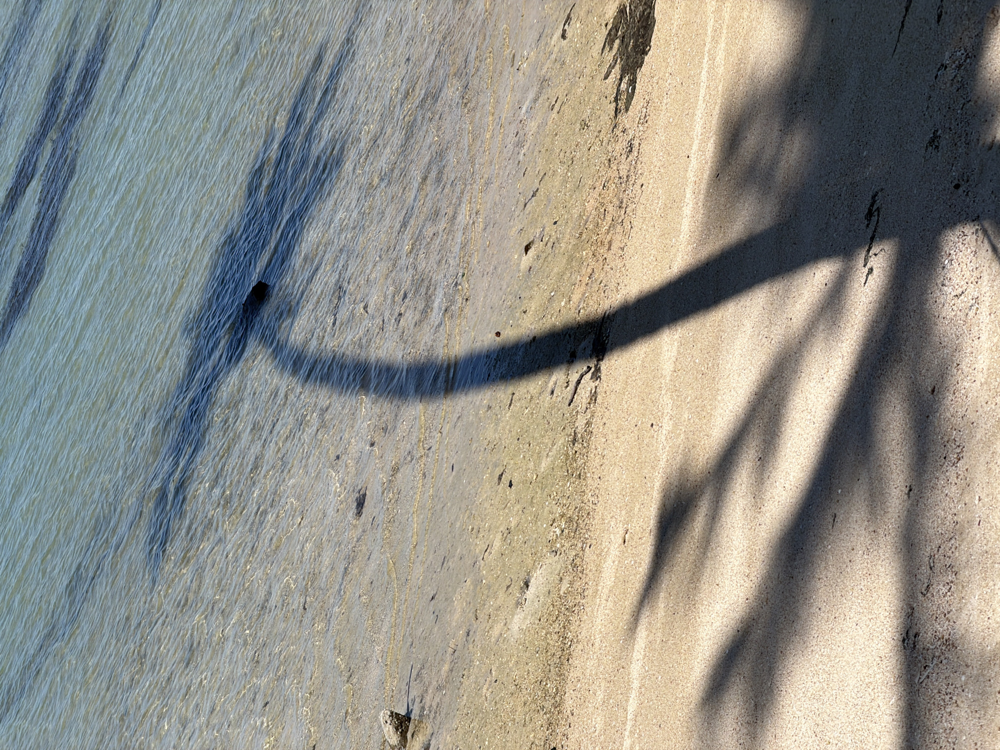 This is an overhead, close-up, high-angle photograph of a beach scene in Baan Thong Krut, Thailand. The image is oriented vertically, with the water on the left and the sand on the right. The water is shallow and clear, with gentle ripples and a sandy bottom visible beneath the surface. The sand is light tan and appears to be fine-grained, with some small pebbles and debris scattered across it.
A prominent feature of the image is the shadow of a palm tree cast across both the water and the sand. The shadow is dark and elongated, with fronds clearly defined, suggesting a sunny day. The shadow stretches diagonally from the top right of the frame to the bottom left. There are also other, fainter shadows in the water, possibly from submerged objects or seaweed.
The time of day appears to be late afternoon or early morning, as indicated by the long, angled shadows. The weather seems to be clear and sunny. The location is clearly a tropical beach, with the presence of palm trees being a strong indicator. There are no people or animals visible in the image. The overall mood is tranquil and serene, capturing the quiet beauty of a tropical shoreline. No text is visible in the image.
