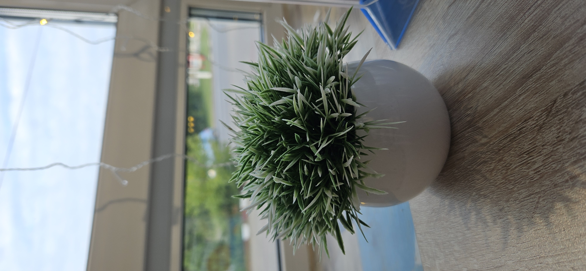 A small, round, white ceramic pot filled with artificial grass sits on a wooden surface. The pot is positioned in front of a window, through which a blurred outdoor scene is visible, including trees and a road. Hanging strings of lights are visible against the sky outside the window. The overall setting appears to be indoors, possibly a room or a cafe, with a view of a street in Vitsebsk, Belarus. There are no people or animals in the image. The lighting is natural, coming from the window. The focus is on the potted plant.
