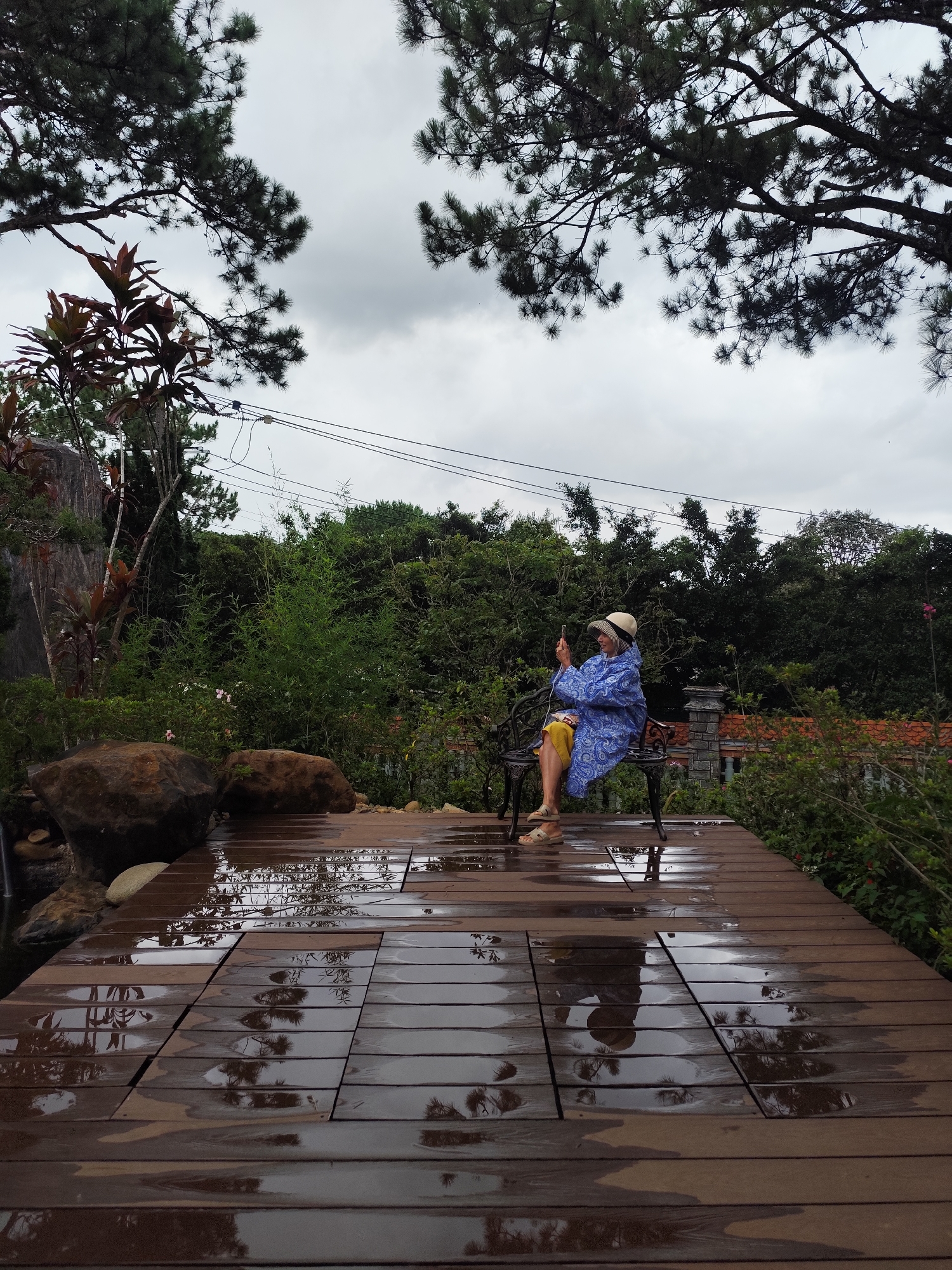 A wide-angle outdoor shot shows a woman in a blue patterned raincoat and tan hat seated on a black wrought iron bench on a rain-soaked wooden deck. She is holding a smartphone, possibly taking a photo. The deck is made of dark brown planks, reflecting the cloudy sky, surrounding trees, and the woman's silhouette. Two large rocks sit to the left of the deck near what appears to be a small pond or water feature. The backdrop includes a dense array of greenery, including various shrubs, trees, and flowering plants. Some red tiled roofs of buildings are visible amidst the foliage in the background. Above the trees, power lines are visible against a cloudy sky. Branches of pine trees frame the top of the image. Based on the context and information, this image is likely taken in Da Lat, Vietnam.