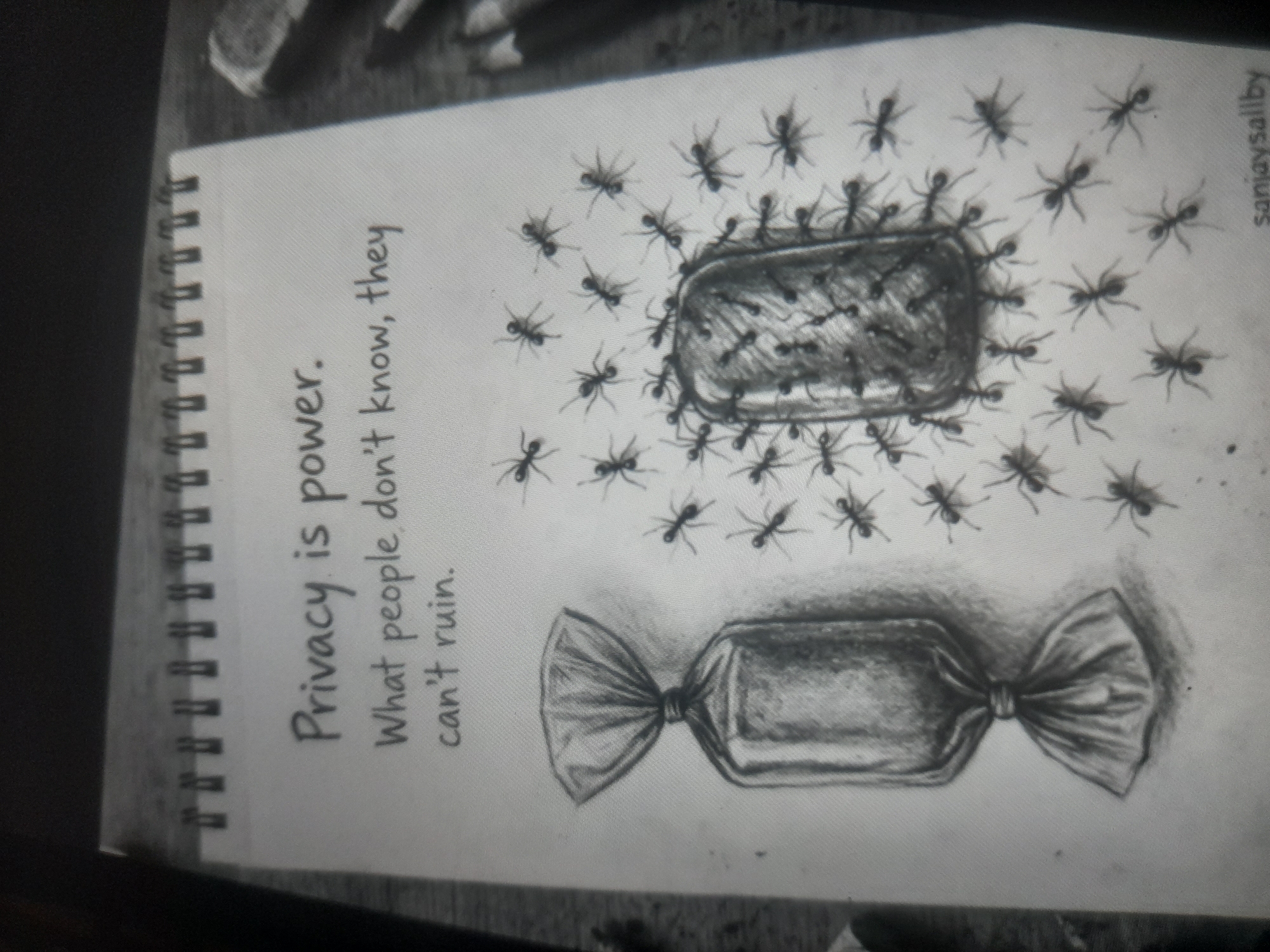 A grayscale image shows a spiral-bound notebook open to a page with text and illustrations. The text reads, "Privacy is power. What people don't know, they can't ruin." Above the text are two charcoal drawings of a wrapped candy. The upper candy is covered in ants. The lower candy is untouched. The name "sanjaysallby" is visible in the upper right corner of the page. The image appears to be taken indoors. The city of Akwanga, Nigeria, is not represented in the image.