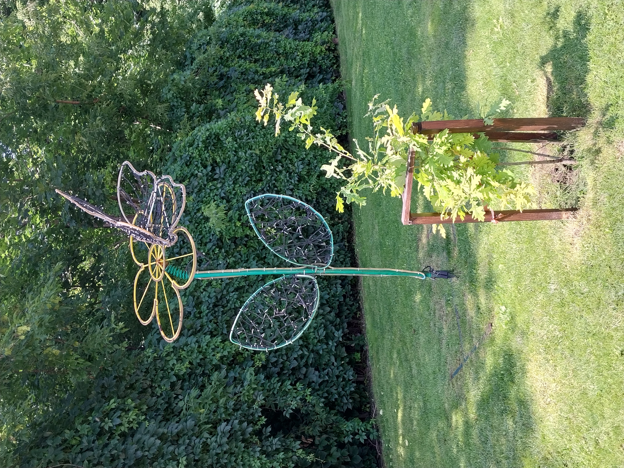 A metal sculpture of a large flower with a butterfly on top stands in a grassy area in front of a dense green hedge. The flower has yellow petals and a green stem, and the butterfly is made of black wire. The flower's leaves are also made of wire and decorated with small lights. To the right of the flower sculpture, a young tree is planted in the grass and protected by a wooden frame. The scene is outdoors on a sunny day, with shadows cast on the lawn. The location is not specified in the image or provided context.