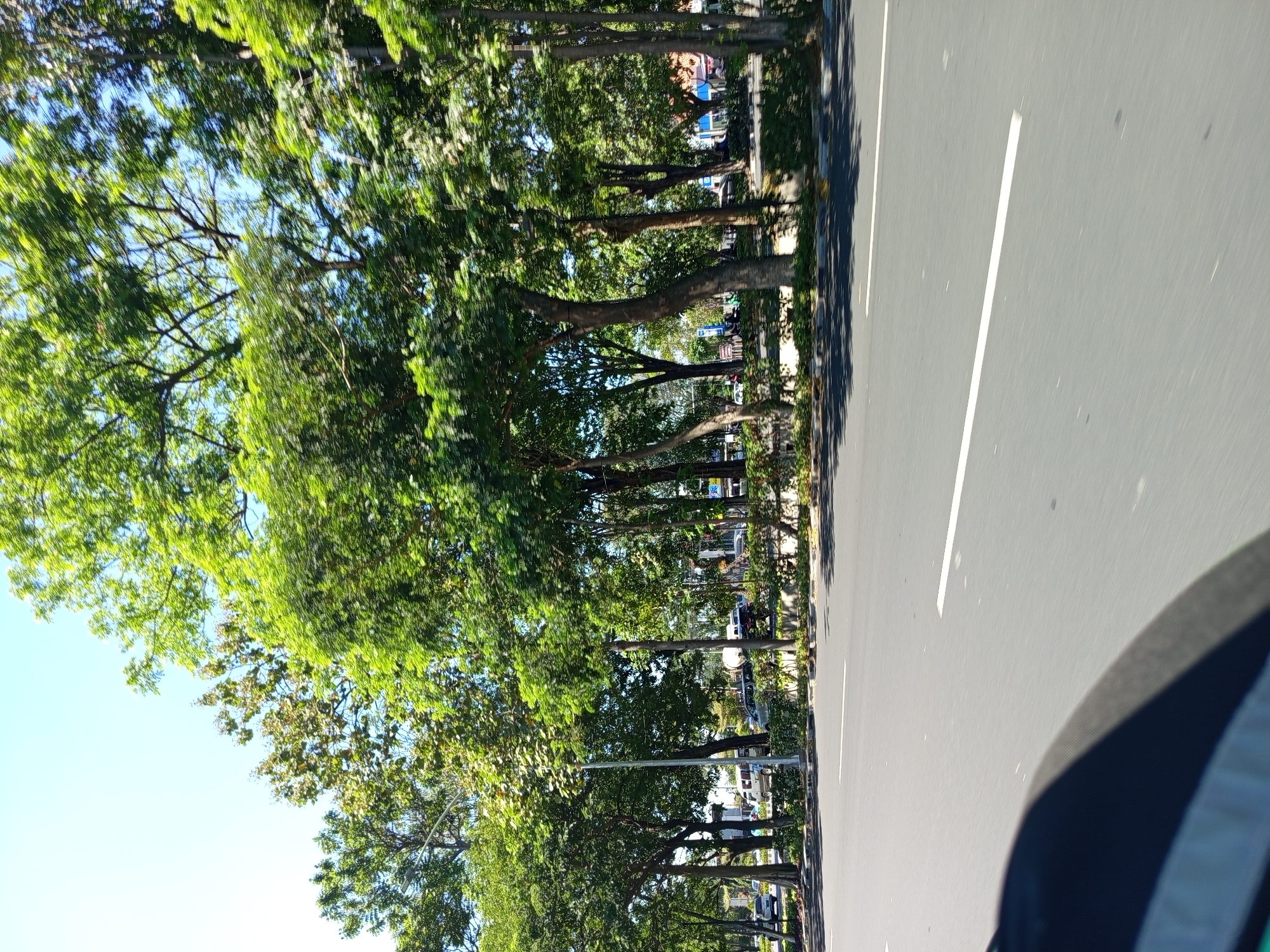 The image shows a street scene in Surabaya, Indonesia, on a sunny day with a clear blue sky. The perspective is from a moving vehicle, likely a motorcycle, as indicated by the curved dark object in the foreground that appears to be part of the vehicle's body. The street is paved asphalt with white lane markings. On the right side of the street, there is a sidewalk or median with a line of lush green trees and some bushes. In the background, beyond the trees, there are glimpses of buildings and other vehicles, including a white van, a dark SUV, and a white car, suggesting a moderately trafficked urban environment. A lamppost is visible among the trees. The trees are full of green leaves, indicating it is a season with ample foliage. The overall impression is of a well-maintained urban road bordered by greenery.