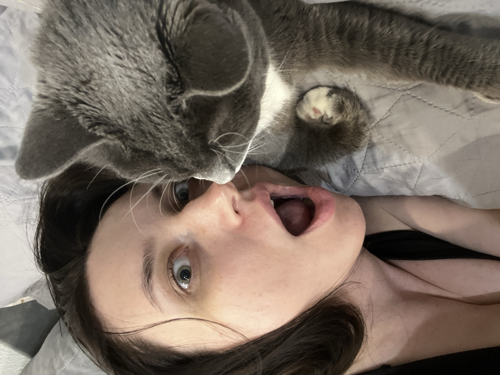 An indoor scene depicts a light-skinned female individual and a domestic cat in close proximity. The female, visible from the upper chest, has dark hair and light-colored eyes. She is oriented on her side, wearing a dark garment, with her head tilted and mouth open wide in an exaggerated expression, revealing the oral cavity and tongue. Her right eye is directed towards the cat. The cat, a short-haired grey breed with white chest markings and paws, is lying on its back/side with its head turned towards the female. Its whiskers are visible, and its gaze appears directed towards the human. Both subjects are positioned on a light grey, quilted textile surface, likely bedding, suggesting a bedroom or lounge area. The specific location within Tyumen, Russia, is not discernible from the image.