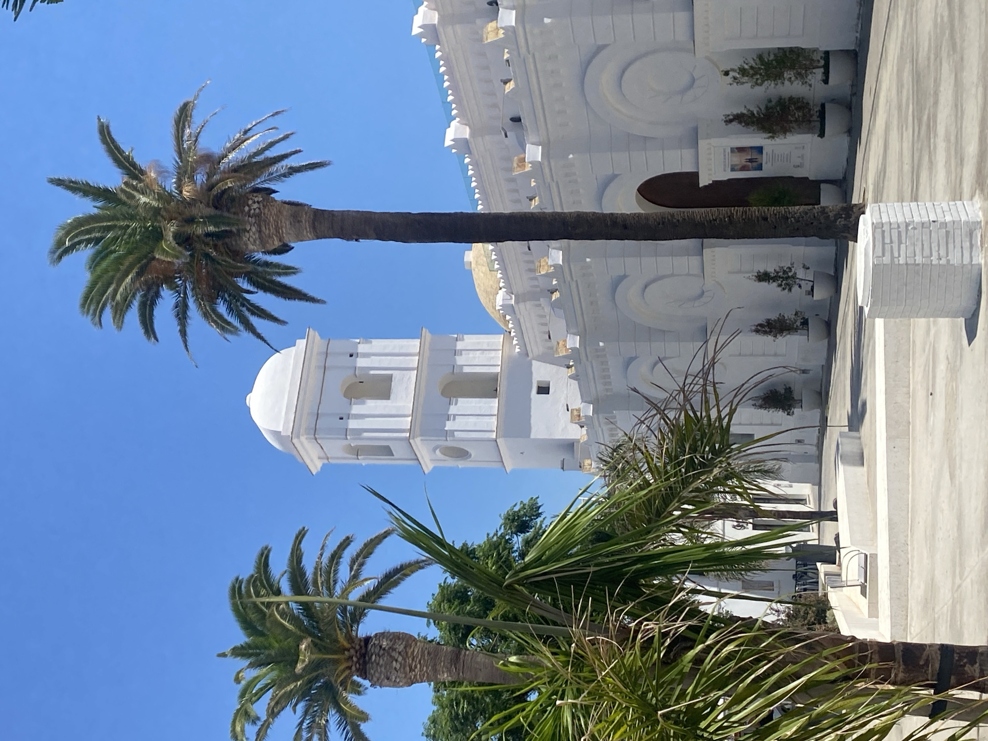 The image shows a view of a white building with a bell tower, possibly a church, in Conil de la Frontera, Spain. Several palm trees are visible in the foreground and mid-ground, with their fronds obscuring parts of the building. The sky is a clear blue. The building features arched windows and decorative elements along its roofline. In front of the building, there are potted plants and what appears to be a courtyard or plaza area with benches and low walls. The overall scene depicts a sunny day in a Spanish coastal town.