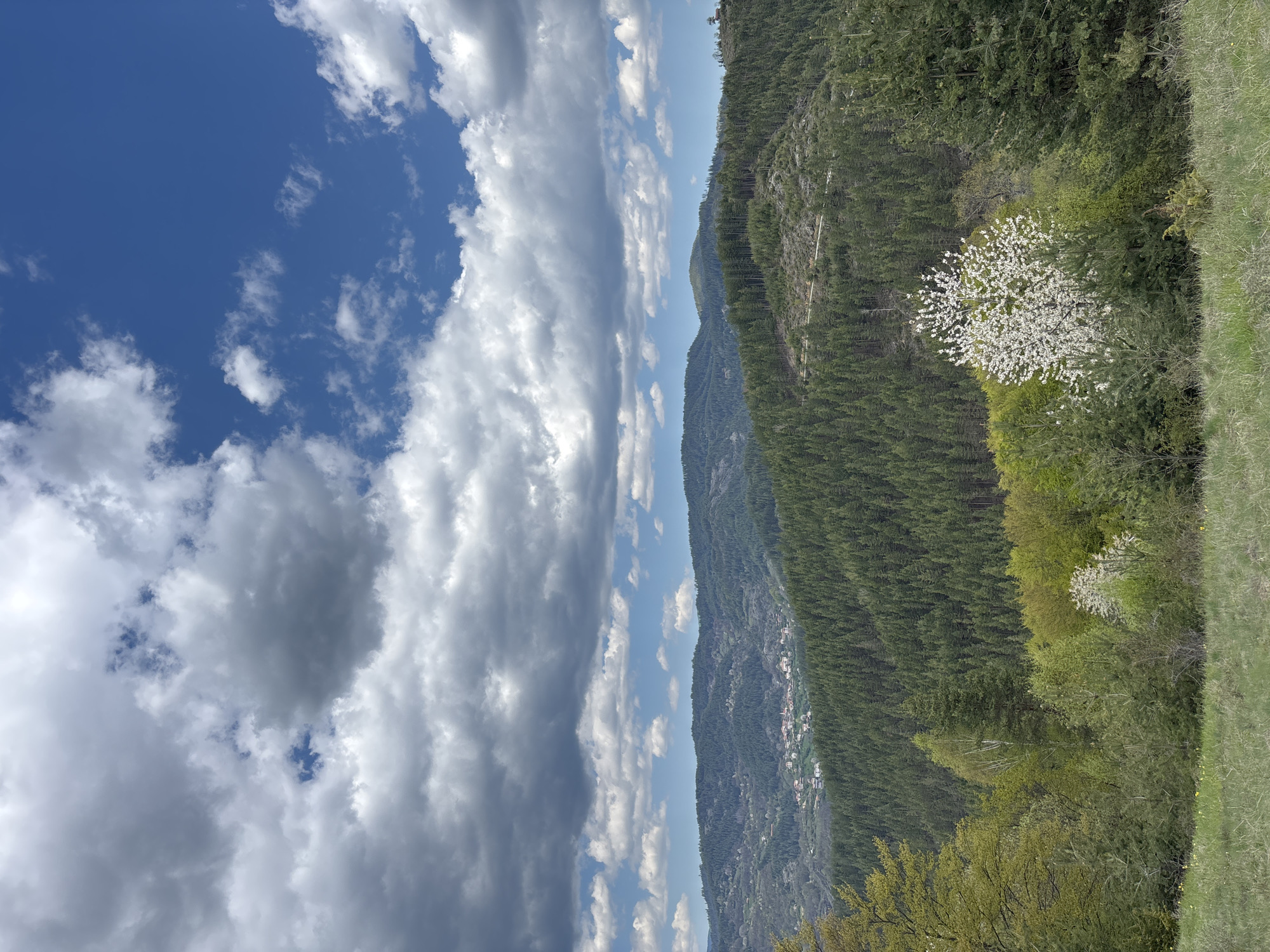 The image shows a landscape with a clear blue sky with scattered white clouds occupying the left side of the frame. On the right side, a mountain range covered in lush green trees and vegetation is visible. The mountain range appears to have varying tree densities. A cluster of white-flowered trees is prominent against the green background. A small village appears to be nestled along the slope of the mountain. The image is taken at Gradat, Bulgaria.