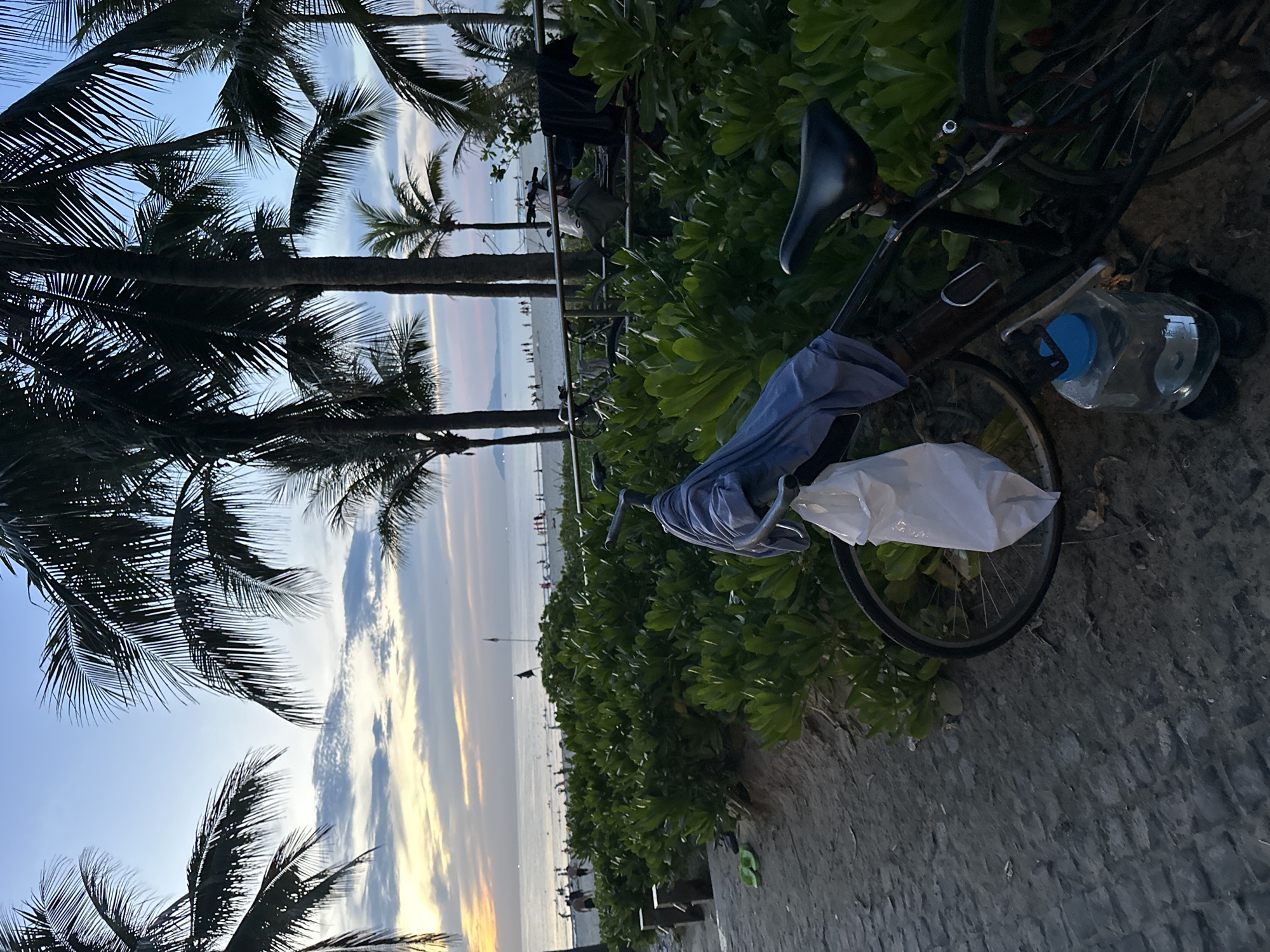 The image depicts a beach scene in Da Nang, Vietnam, likely during sunset or early evening. In the foreground, a bicycle is parked on a sandy path next to lush green bushes. A blue garment is draped over the handlebars of the bicycle, and a white plastic bag hangs from it. A large water jug with a blue lid is placed on the ground near the bicycle. In the background, the ocean stretches out to the horizon, with a few people visible on the beach and in the water. Palm trees line the beach, silhouetted against a sky filled with soft clouds and a fading sun, casting a warm glow. The overall atmosphere is tranquil and relaxed, characteristic of a seaside resort town.