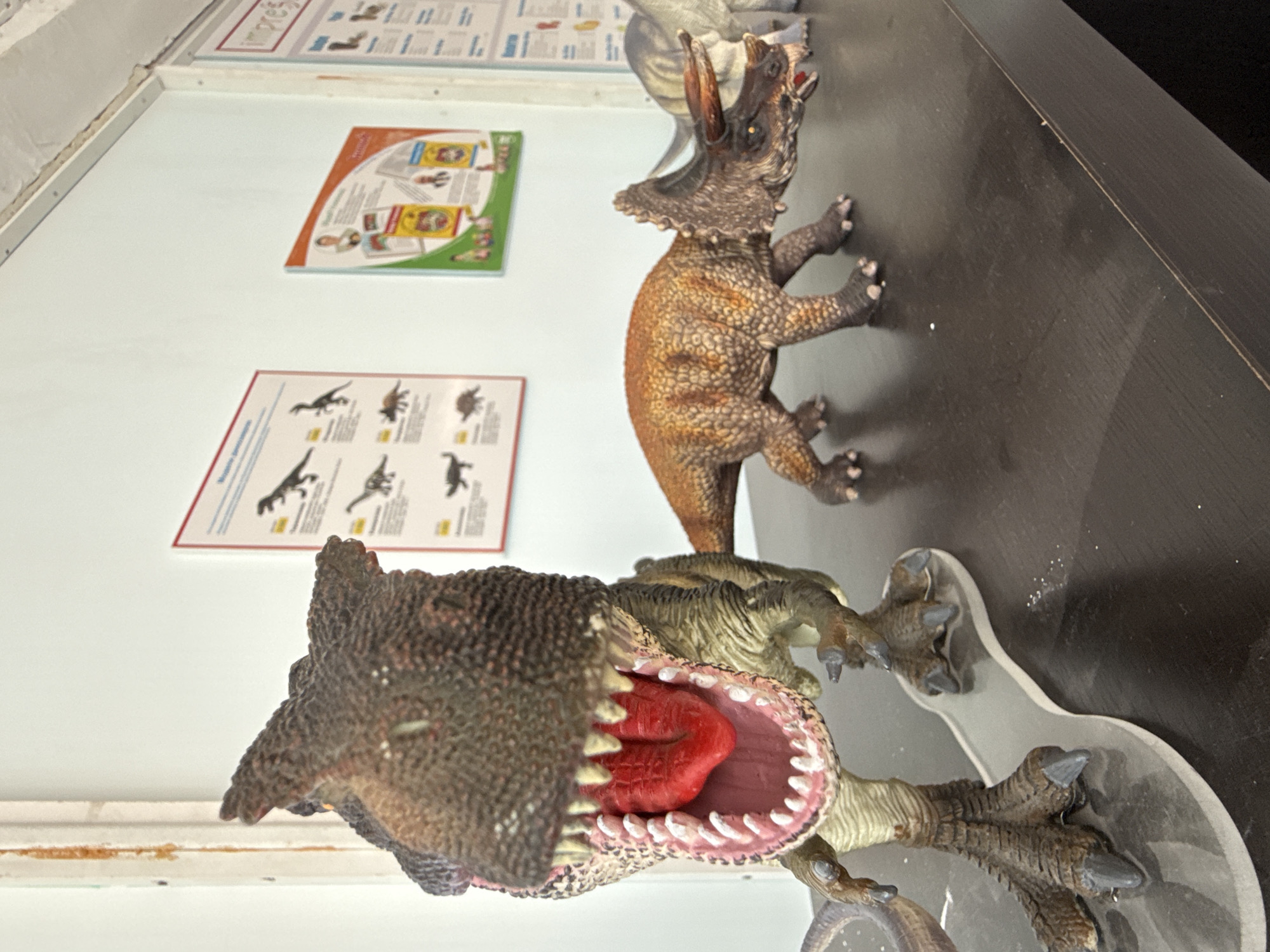The image depicts two toy dinosaurs positioned on a dark surface next to a light-colored wall in an indoor setting. The dinosaur closer to the viewer is a Tyrannosaurus Rex, its mouth wide open exposing a red tongue and rows of white teeth. It's standing on a clear plastic base. Behind it, a Triceratops figurine is seen in a crouching position. The scene takes place indoors with posters and paper documentation hanging on the wall, likely a room or facility in Sin'kovo, Russia, but no information about the specific location can be gathered from the image.