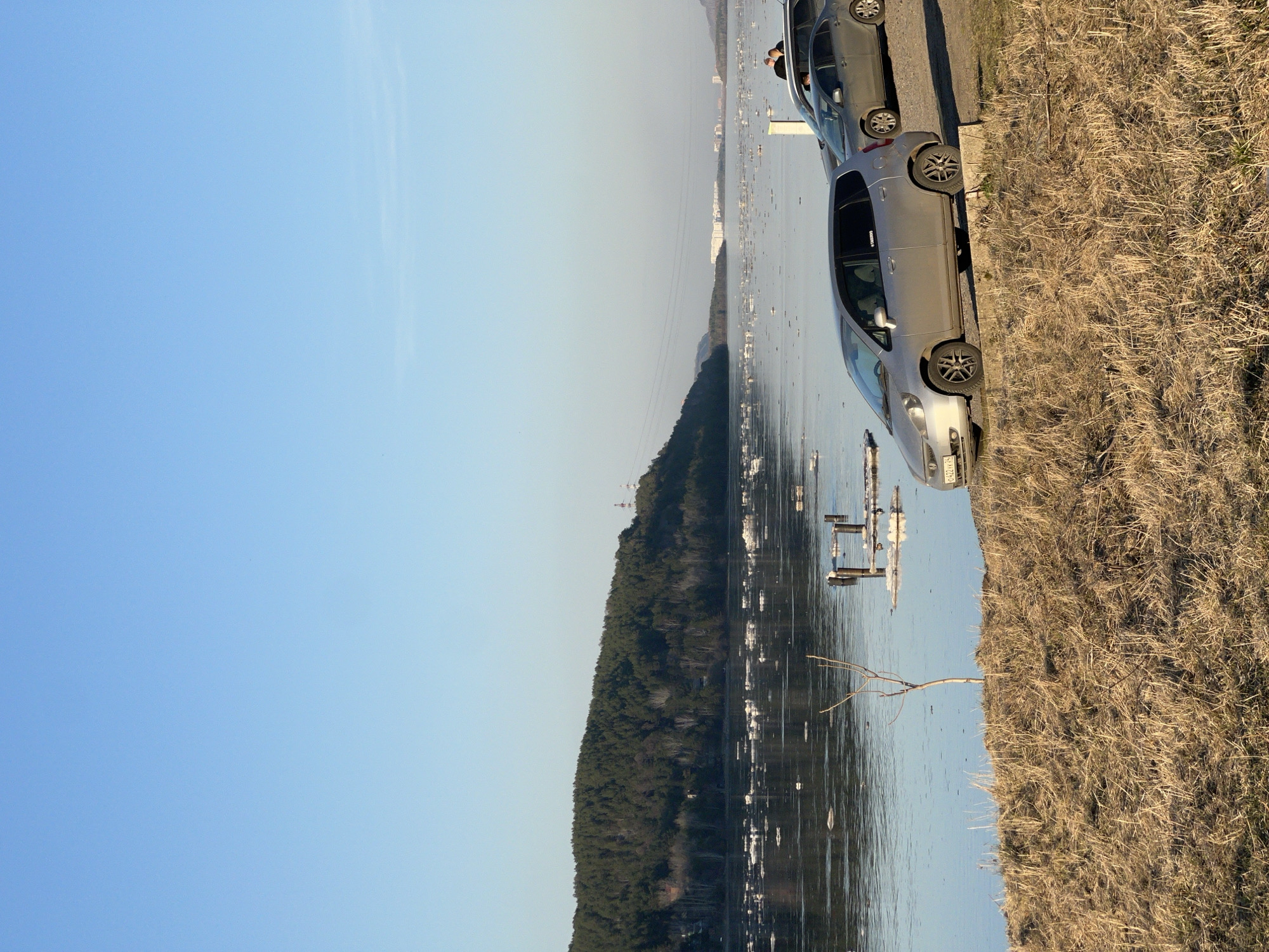 The image captures a wide outdoor scene featuring a large body of water, a distant tree-covered shoreline, a grassy foreground bank, and two parked cars under a clear blue sky.
In the upper left, a bright, clear blue sky dominates, gradually becoming a lighter shade towards the horizon. A calm body of water, possibly a river or lake, stretches across the middle of the frame, reflecting the sky. Small white specks, possibly ice or debris, are scattered on its surface. Several sparse wooden posts or structures protrude from the water.
On the opposite side of the water, a long, undulating line of dense, dark green trees forms a distant, low-lying shoreline. Beyond the treeline, faint outlines of white buildings or structures are visible.
In the right foreground, a dry, light brown grassy bank with parched vegetation slopes down to a paved area. Two cars are parked on this paved surface. The car in the foreground is a silver or light grey hatchback, which has a partially visible "TOYOTA" sticker on its rear window. Its front license plate displays "0422 ЛЭ" in Cyrillic script. Behind it, a darker grey or black car is partially visible. The head and upper body of one person can be seen in the passenger seat of the darker car, looking towards the water, and an arm is visible in the driver's seat.
The scene depicts a daytime setting with bright sunlight, suggesting late morning or early afternoon. The clear sky, dry grass, and possible ice on the water hint at a cooler season. No specific activity beyond people sitting in a parked car is discernible. The Cyrillic license plate suggests a location in a country using this alphabet.