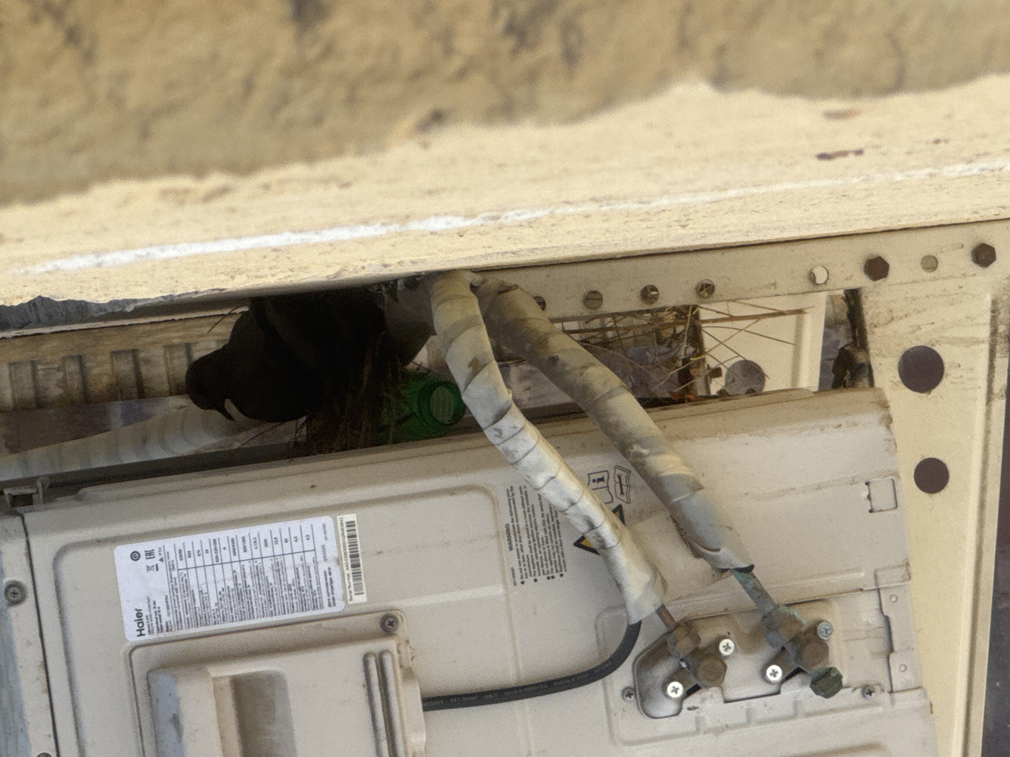 An outdoor air conditioning unit, likely a condenser, is partially visible. A bird is nestled in the unit amongst some nesting material. The unit is cream-colored and has various labels and warning stickers. Several insulated pipes, wrapped in a light-colored tape, are connected to the unit. The unit appears to be mounted on an exterior wall, with a textured, beige surface to the right of the frame. The environment is outdoors, with debris and possibly vegetation visible in the background.