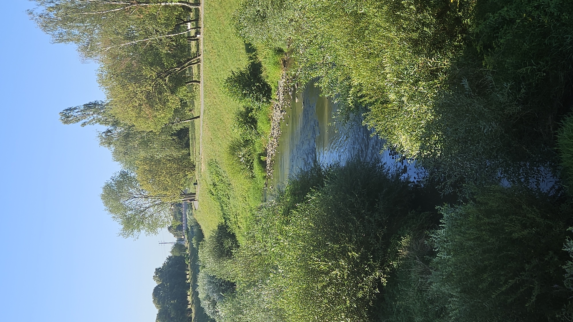 The image shows a tranquil scene of the Torysa River flowing through a park in Prešov, Slovakia. The river is bordered by lush green vegetation, including trees and bushes. The water is clear, with sunlight reflecting off its surface. A walking path is visible along the riverbank, and a few people can be seen strolling through the park. The sky is clear and blue, indicating a pleasant day. The overall impression is one of a peaceful and scenic natural environment within an urban setting.