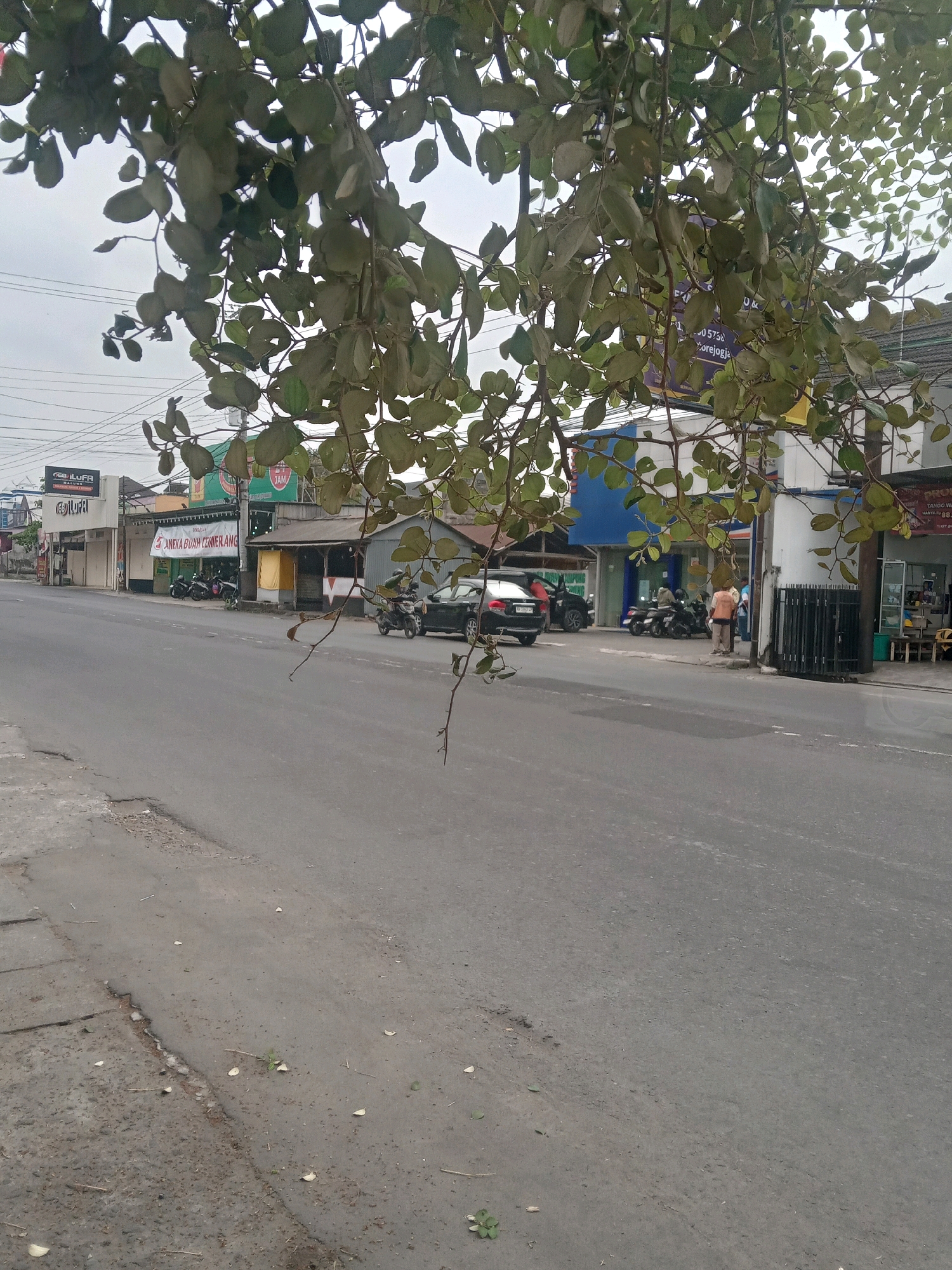 The image depicts a street scene in Maguwoharjo, Indonesia, viewed through the branches of a tree with sparse leaves. The street is paved and appears to be a commercial area with several buildings lining the right side. On the left side of the street, there are buildings with signage, one of which appears to be a shop. Further down the street, there are more buildings, including one with a blue facade. Several motorcycles are parked in front of some of the establishments. A black car is also visible on the right side of the street, near a fence. A person wearing an orange vest is standing near the fence. The sky is overcast. The foreground of the image shows the asphalt road with some debris and vegetation.