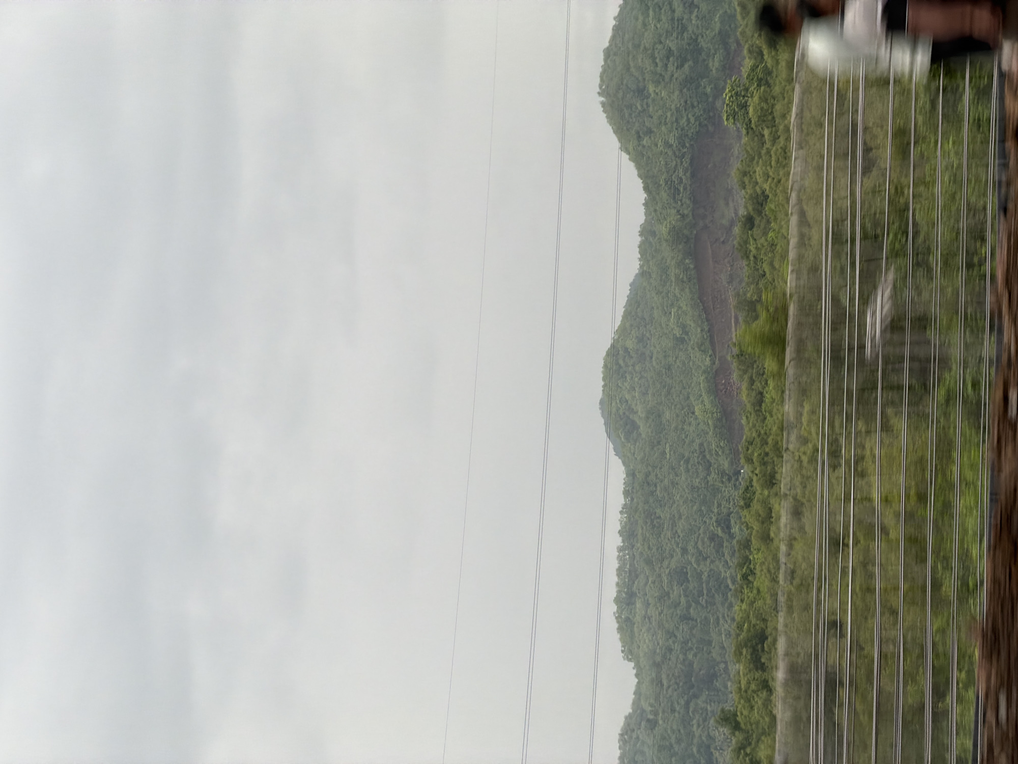 The image captures a panoramic view of a verdant, hilly landscape under an overcast sky. In the foreground, a blurred fence with multiple horizontal bars runs across the frame. Beyond the fence, a dense green foliage extends, with some trees appearing to be cultivated, possibly part of a farm or nursery. In the mid-ground, rolling hills covered in lush green vegetation dominate the scene, with a visible patch of exposed earth on one of the slopes, suggesting a landslide or construction. Overhead, several power lines are strung across the sky. On the right side of the frame, the blurred figures of two individuals, one in a light-colored garment and the other in darker clothing, are visible, seemingly walking or standing near the fence. The overall impression is one of a rural or semi-rural setting, possibly on the outskirts of a city.