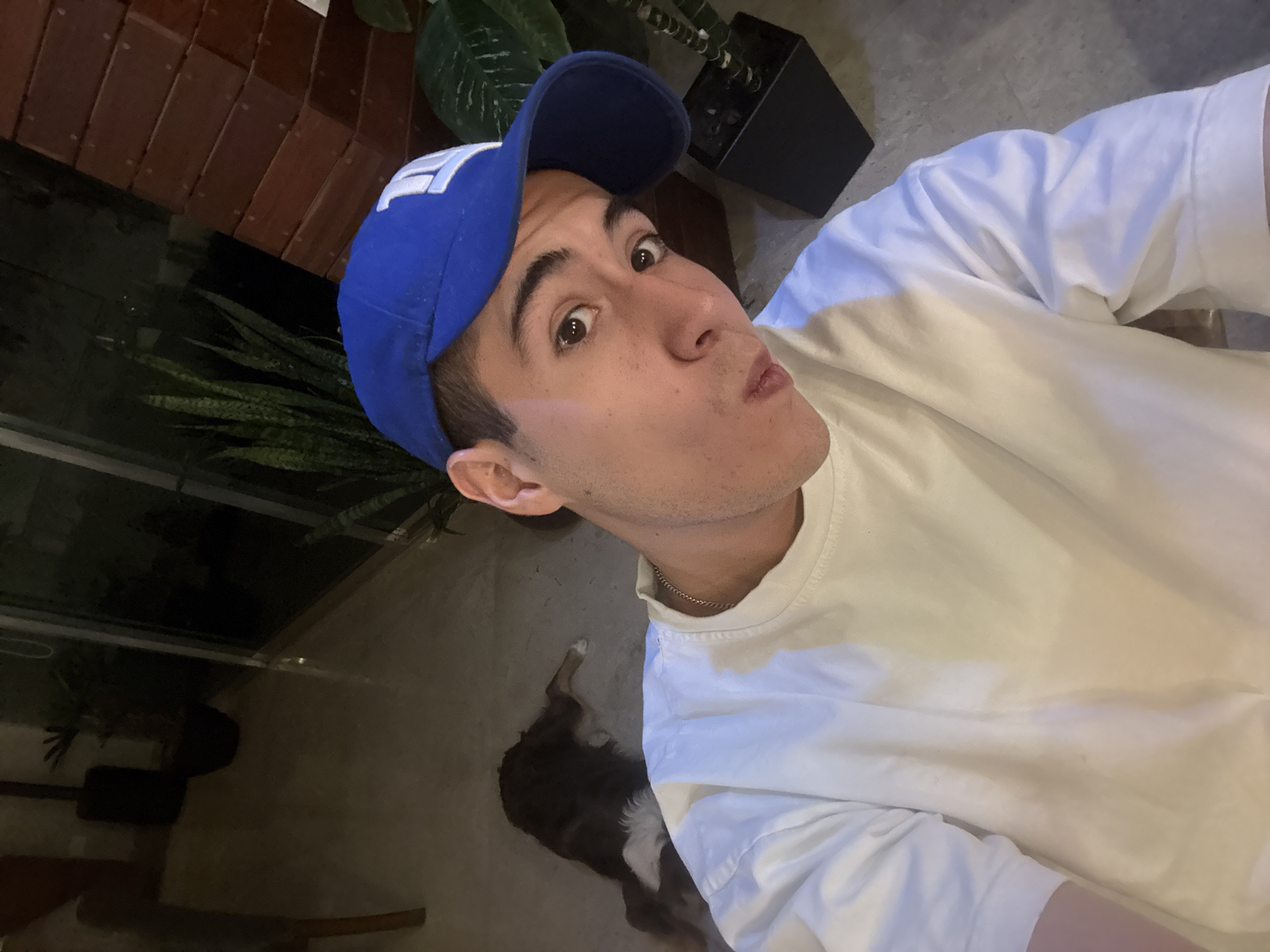 This rotated selfie-style portrait features a young adult male in what appears to be an indoor or semi-outdoor setting in San Bernardino Tlaxcalancingo, Mexico. The man, with light skin and dark hair, looks directly at the camera with wide eyes and pursed lips, conveying a playful or surprised expression. He is wearing a blue baseball cap with an indistinct white logo on the front, a simple white t-shirt, and a thin silver chain necklace.
In the lower left background, a dog with dark fur and some white markings is lying on the ground, partially visible. The setting includes elements like a red brick wall in the upper left corner and various potted green plants, including a snake plant in a black planter, suggesting a contemporary and possibly green-filled environment. A large glass pane or window reflects light in the background. The floor is a light, neutral color, possibly concrete or tile. The lighting suggests it is evening or night, with artificial light illuminating the scene. The image has a casual, personal feel. No clear text is visible apart from the indistinct logo on the cap.