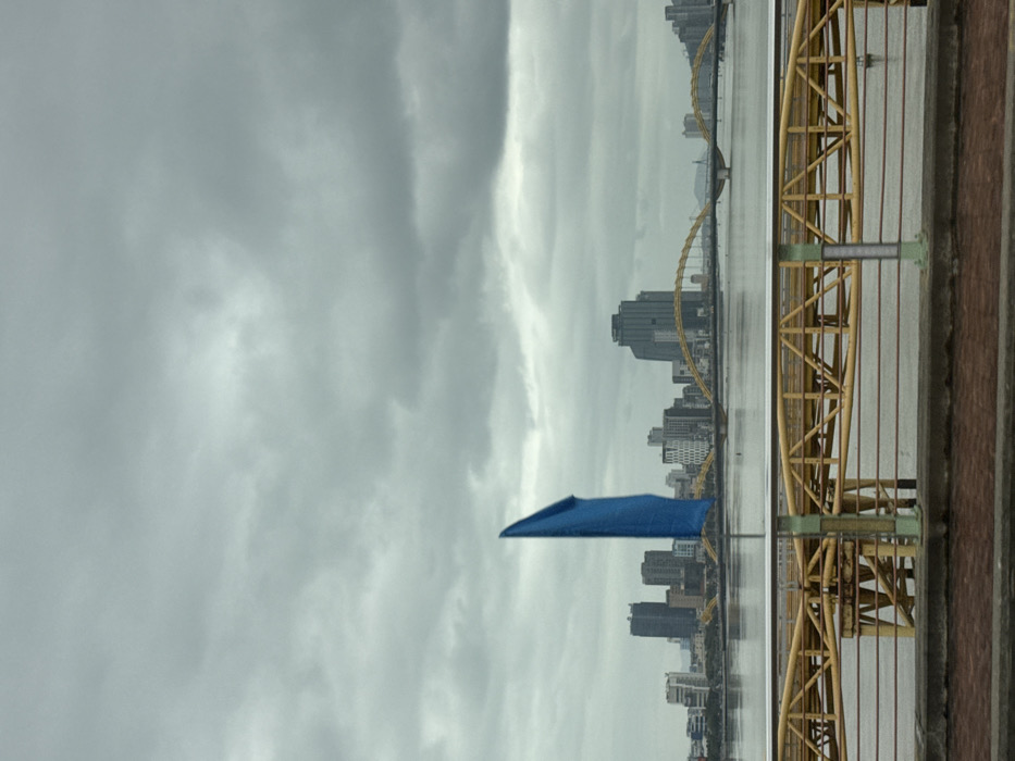 This image captures a wide-angle view of a cityscape and river under an overcast sky, located in Ngũ Hành Sơn Ward, Da Nang, Vietnam. In the immediate foreground, a metallic bridge railing featuring yellow structural elements and a silver handrail extends horizontally across the frame. Below the railing is a reddish-brown concrete surface. A single, vertically oriented blue flag, appearing folded or furled, stands on a pole to the left, rising from the railing into the mid-sky.
The midground is dominated by a wide, calm body of water, likely the Han River, reflecting the muted light from the sky. Across the water, in the background, a dense urban skyline is visible, characterized by numerous multi-story buildings, including modern high-rises and mid-rise structures. Spanning the river in the background is a prominent bridge with distinctive yellow, arched steel supports, identifiable as the Dragon Bridge. No individuals or active vehicles are visible in the scene. The sky is entirely overcast with uniform gray clouds.