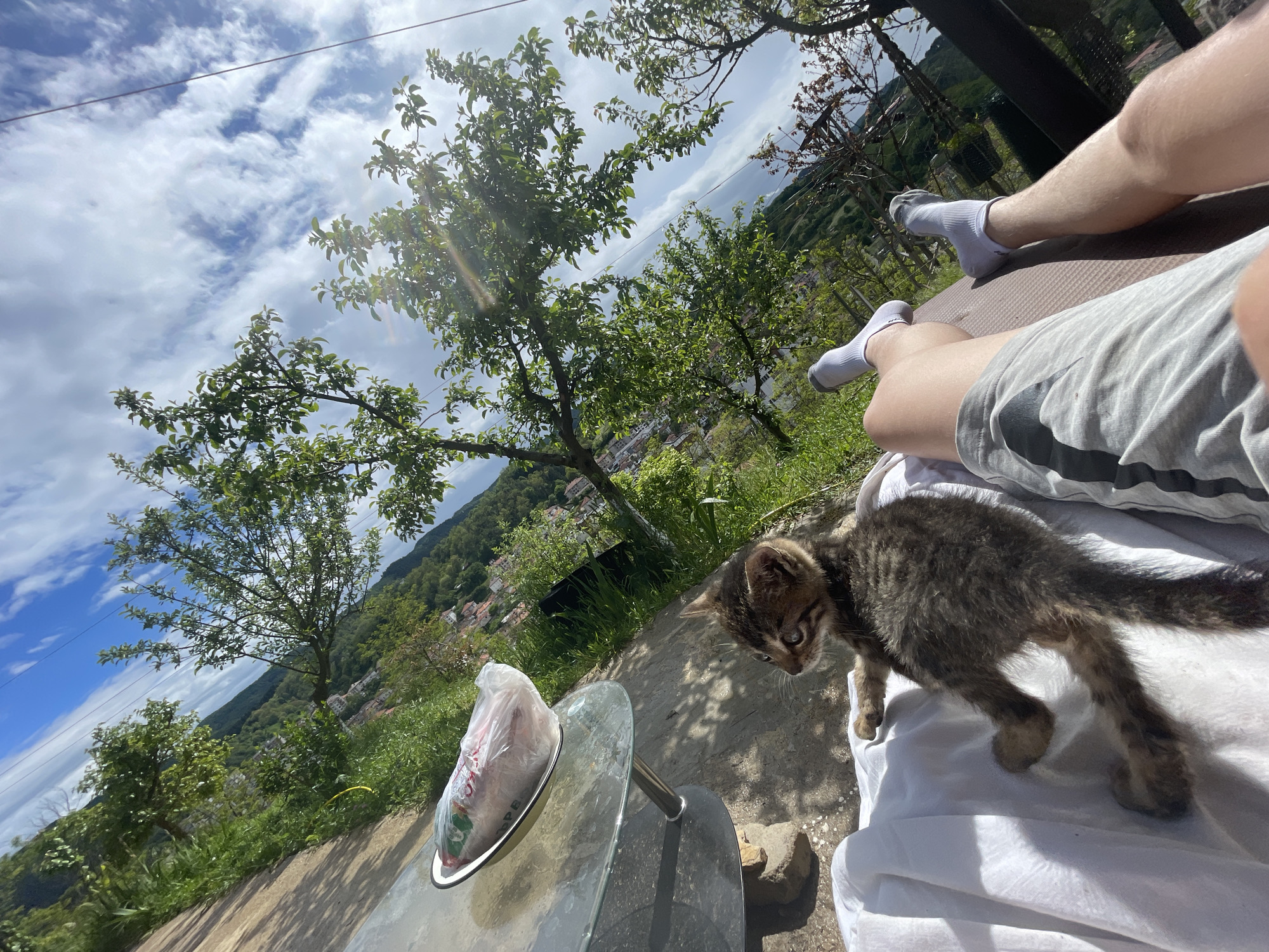 A low-angle, wide shot of an outdoor scene depicts a person relaxing on a lounger alongside a small tabby kitten. The individual, dressed in grey shorts and white socks, is partially visible in the upper right corner of the frame, seemingly lying down on a brown lounger. A small, brown tabby kitten stands on a white towel near the person's legs. Beside them, a glass-topped table holds a white plate with a plastic bag filled with an unidentifiable substance.
The scene is set against a vibrant backdrop of green hills and trees. In the midground, a small town with red-roofed buildings is visible. The sky is partly cloudy with patches of blue. Based on the topography and architectural style, the location is likely in Zlatograd, Bulgaria.