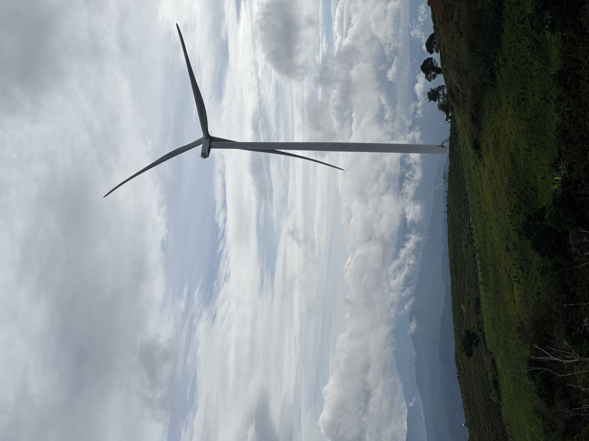 The image shows a wind turbine located on a green, grassy hillside in Trường Thọ, Vietnam. The turbine has three blades and a tall, cylindrical tower. The background includes a cloudy sky, distant mountains, and a few trees on the hillside.