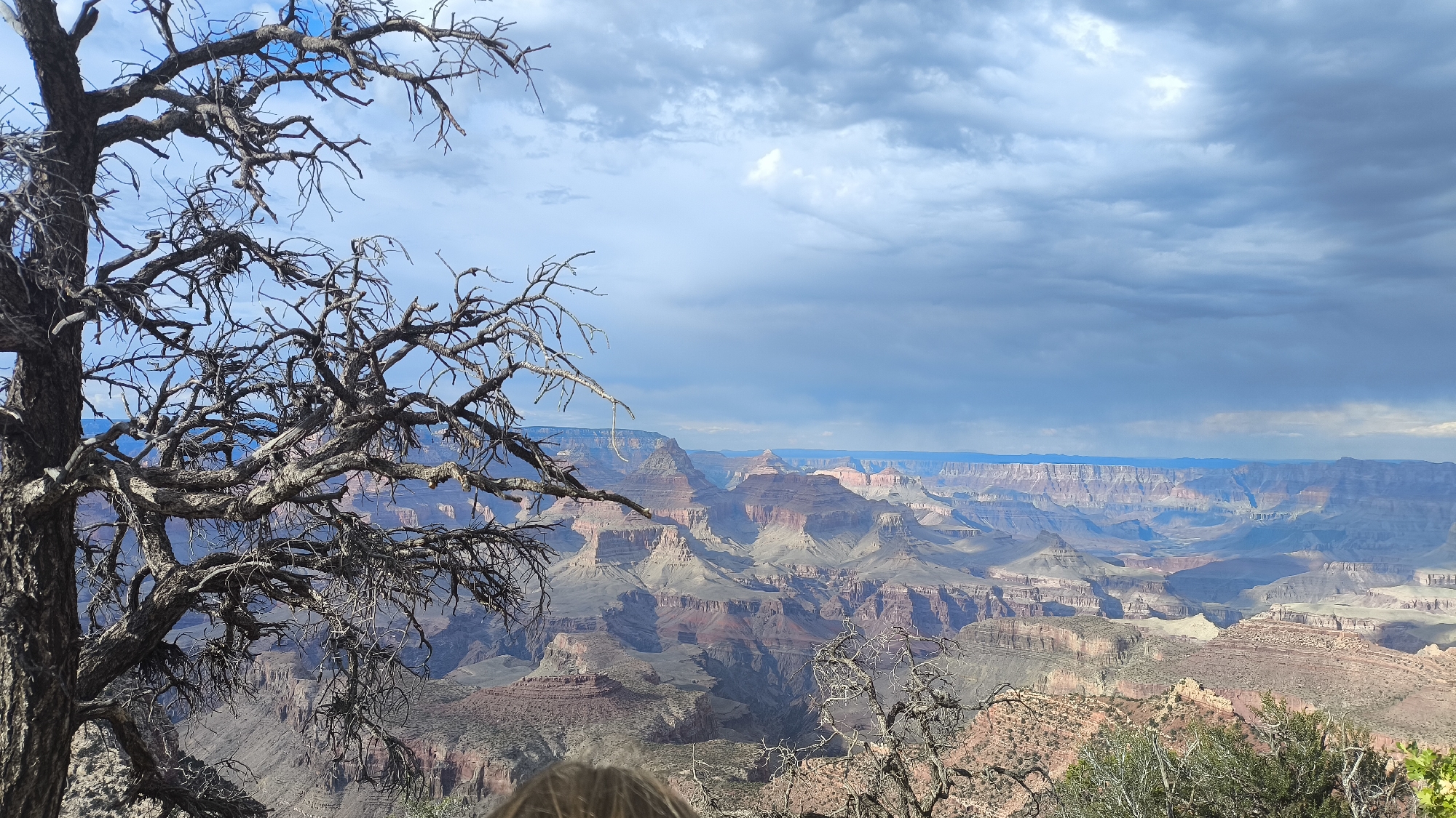 A dead tree with gnarled branches dominates the left foreground of this wide-angle, landscape photograph of the Grand Canyon. The tree, a dark silhouette against a partly cloudy sky, obscures a portion of the view. The Grand Canyon stretches out in the background, a vast expanse of layered rock formations in shades of red, brown, and gray. The canyon walls exhibit distinct strata, with sharp peaks and deep shadows indicating a sunny day with dramatic cloud cover. A faint rainbow or color distortion appears in the distant canyon. The bottom edge of the frame shows the back of a person's head, suggesting the viewpoint is from an observation area. The location is the Grand Canyon National Park, near Tusayan, Arizona, United States.