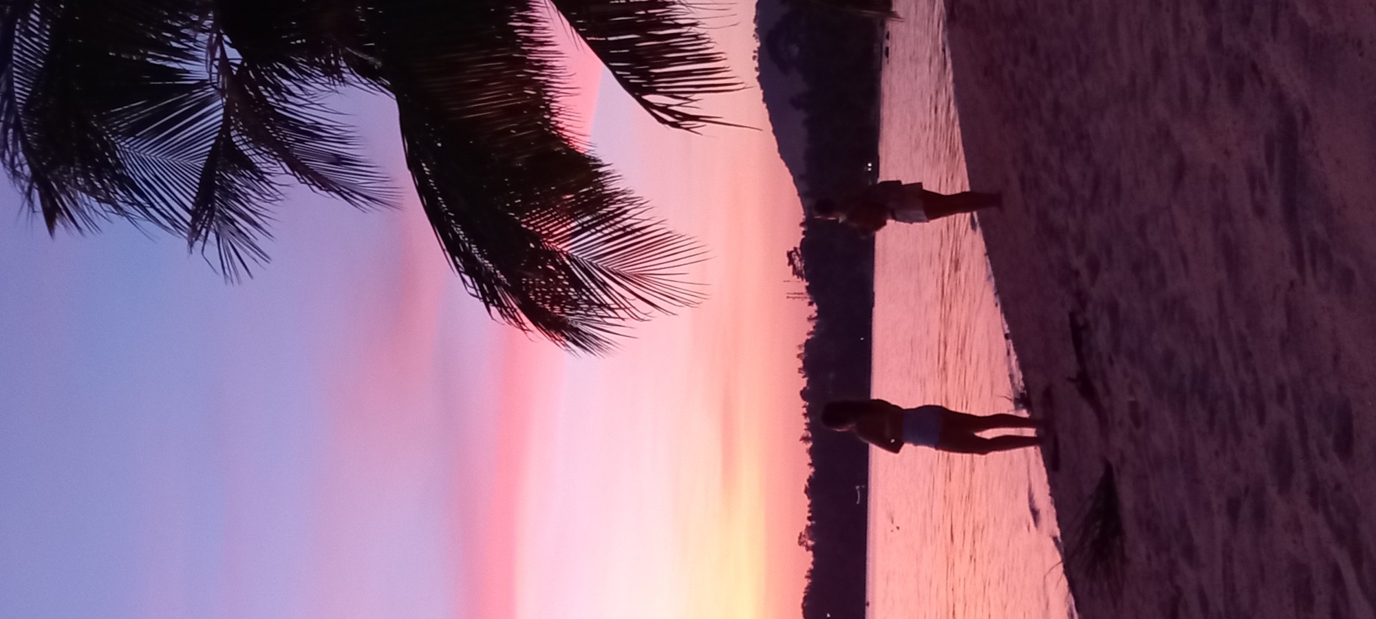 This serene image captures a picturesque sunset scene at a tropical location, likely a beach or lakeside. The sky dominates the upper portion of the frame, displaying a vibrant gradient of colors ranging from soft purple on the left to warm pinks and oranges towards the right, suggesting either sunrise or sunset. However, the deep silhouettes strongly indicate dusk or sunset.
In the foreground, the dark, feathery fronds of a palm tree are visible, extending from the top left corner and partially obscuring the colorful sky, characteristic of a tropical setting. Below the horizon, a dark, undulating silhouette of distant land or hills stretches across the middle ground.
The water, likely the sea or a large lake, occupies the central part of the image, beautifully reflecting the warm hues of the sky. Two individuals are standing in the shallow water, appearing as dark silhouettes against the reflective surface. One person is positioned closer to the viewer on the right, and another further back, both seemingly enjoying the tranquil view of the sunset. The immediate foreground on the right shows a dark, textured area that appears to be the sandy shore.
There is no visible text in the image. The overall impression is one of peace and natural beauty at the golden hour in Baan Sri Thanu, Thailand.