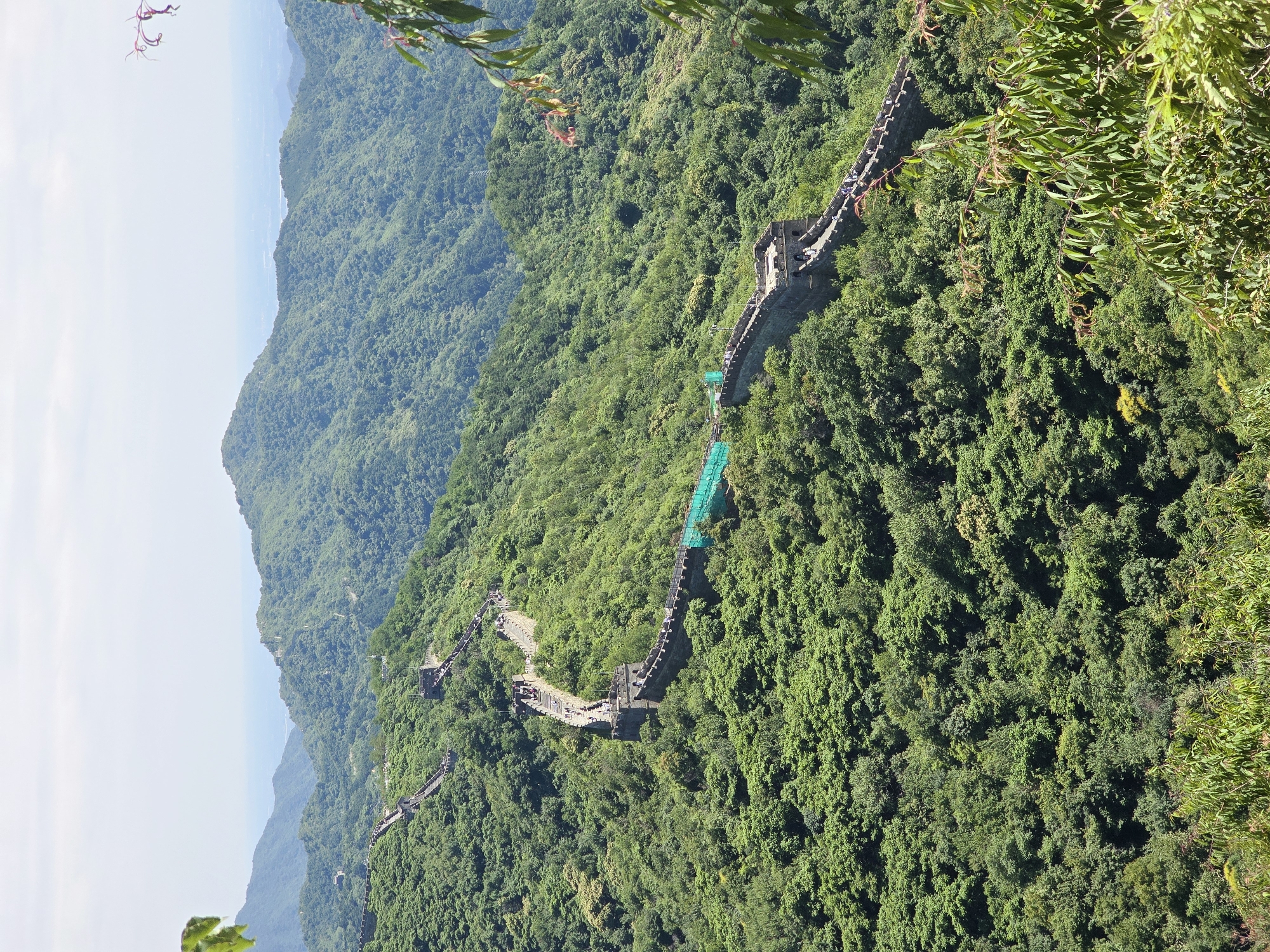The image shows a section of the Great Wall of China winding along a lush, green, mountainous terrain in Huairou District, China. The wall, constructed from stone and brick, is visible with watchtowers and battlements. Numerous tourists are walking on the wall, some grouped together and others spread out. The surrounding landscape is densely covered with trees, with rolling hills and mountains extending into the distance. The sky is overcast with a hazy, pale blue. In the foreground, leafy branches partially obscure the view, suggesting the perspective is from a higher vantage point. A section of the wall in the middle ground appears to be under some form of repair or preservation, indicated by green netting.