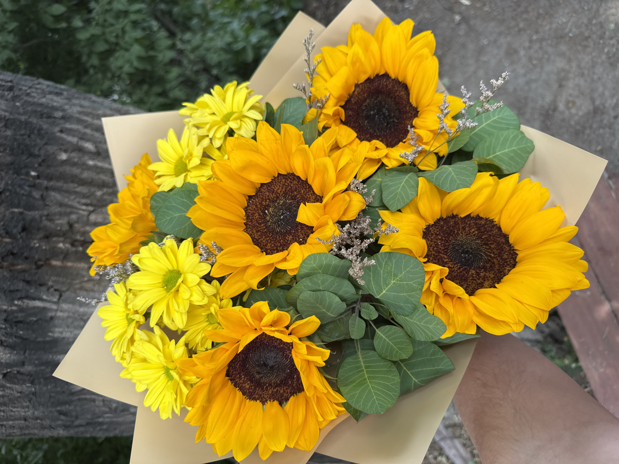 A close-up, eye-level shot shows a hand holding a bouquet of bright yellow sunflowers and smaller yellow flowers, possibly chrysanthemums, wrapped in light brown paper. The sunflowers are dominant, with their large, dark centers and vibrant petals. Green leaves and delicate dried floral accents are interspersed throughout the arrangement. The background is blurred, showing the textured bark of a tree and green foliage, suggesting an outdoor setting. The lighting is natural, casting soft shadows and highlighting the colors of the flowers. The person's arm and hand are visible on the left side of the frame, with visible arm hair. The ground in the lower right corner appears to be a textured gray surface, possibly concrete or asphalt, with some reddish-brown elements that could be wood. The scene is likely in Almaty, Kazakhstan, given the context provided, though no specific landmarks are visible to confirm this location.