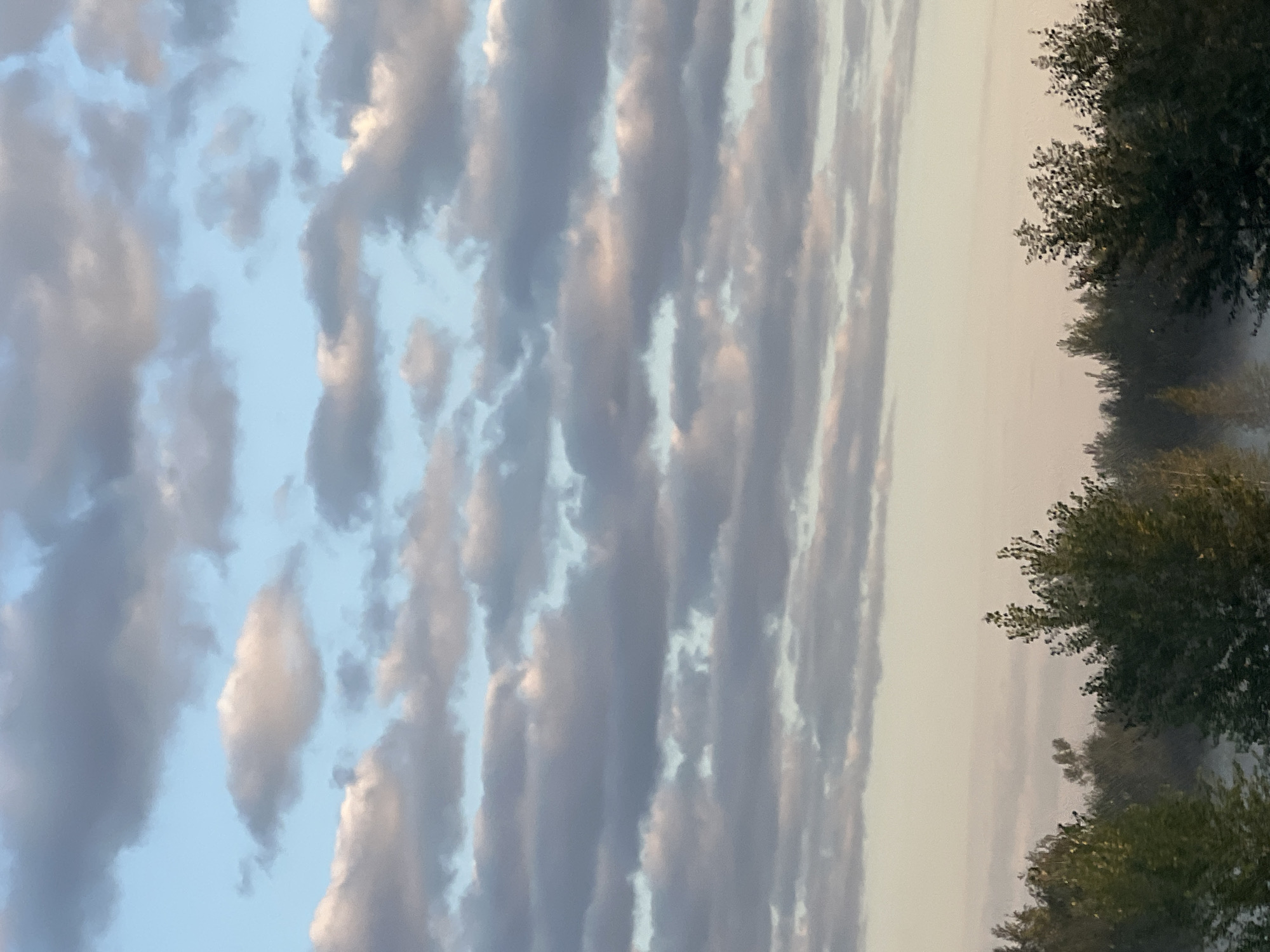 The image shows a cloudy sky above a treeline. The sky is filled with various clouds, some appearing light and fluffy, while others are darker and more elongated. The clouds are illuminated by a light source, likely the sun, which casts subtle hues of pink and orange on some of them, suggesting either sunrise or sunset. The lower portion of the image features the tops of trees, predominantly deciduous, with dense foliage. A faint mist or haze is visible at the base of the trees, obscuring the ground and creating a soft focus effect. The scene appears to be an outdoor, natural environment, possibly a rural or park area. The location is specified as Katkovskii, Russia. No people or specific structures are visible in the image.