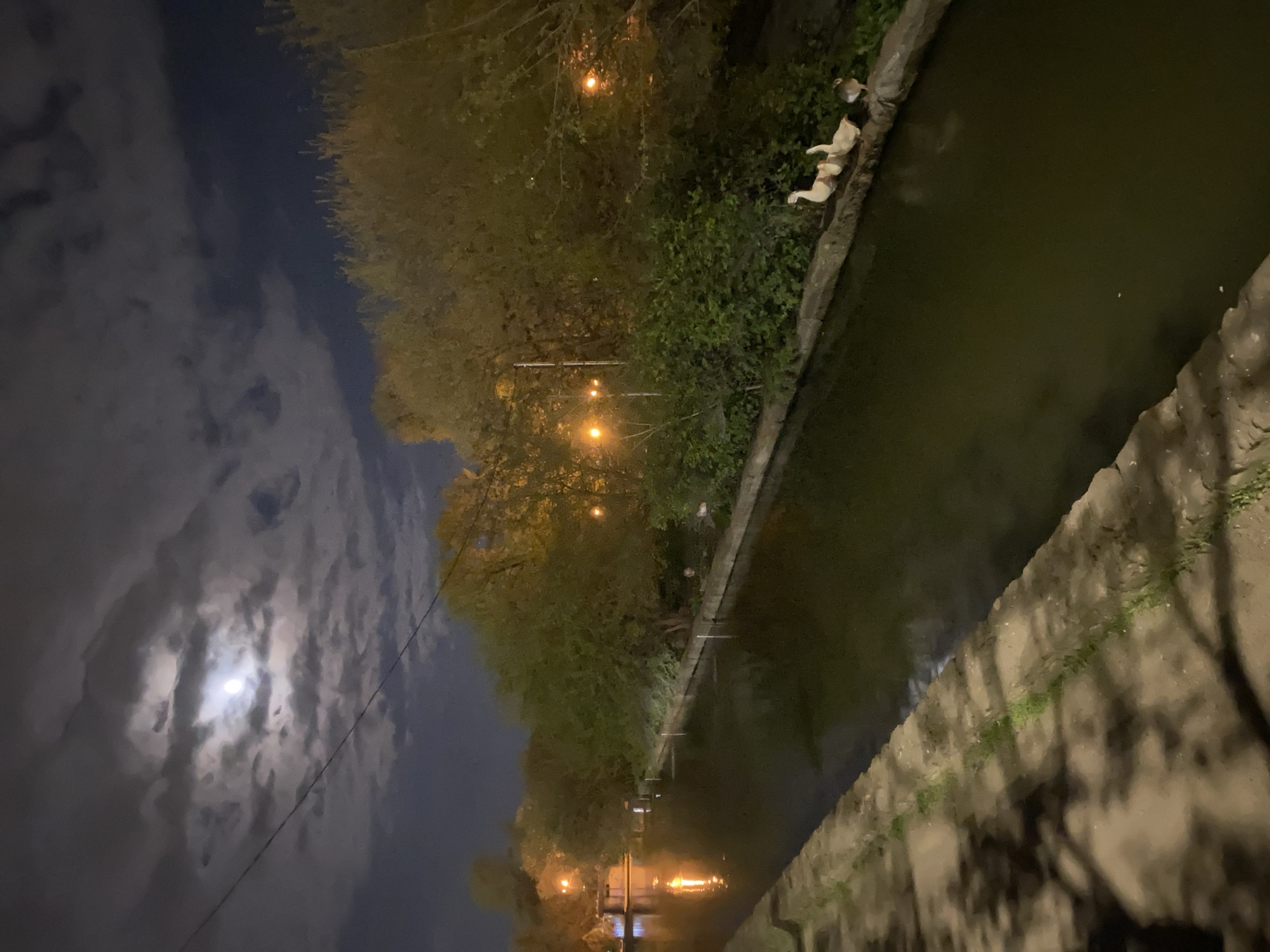 The image, oriented as a landscape, captures a tranquil night scene along a canal or narrow river. The dark sky is partially obscured by clouds, with a bright, almost full moon prominently visible in the upper left, casting a soft light. A thin, dark wire or cable stretches horizontally across the sky, near the moon.
On the left side of the canal, dense trees and foliage line the bank. Several warm-toned artificial lights, likely streetlights, are scattered among the greenery, their glows reflected as shimmering streaks on the calm, dark surface of the water. These reflections extend into the distance, suggesting a longer stretch of illuminated canal.
The right side of the canal features a textured stone or concrete embankment, with small patches of green grass growing along its top edge. On this embankment, near the upper right portion of the image, are two light-colored figures. One is a larger figure resembling a statue of a dog, possibly a Labrador, appearing to be lying down. Adjacent to it is a smaller, darker figure, which could be another animal sculpture or an actual animal. Shadows, likely cast by the surrounding trees or unseen structures, stretch across the embankment.
The scene conveys a peaceful, nocturnal setting, with artificial and natural light sources illuminating the waterway. No visible text is present.