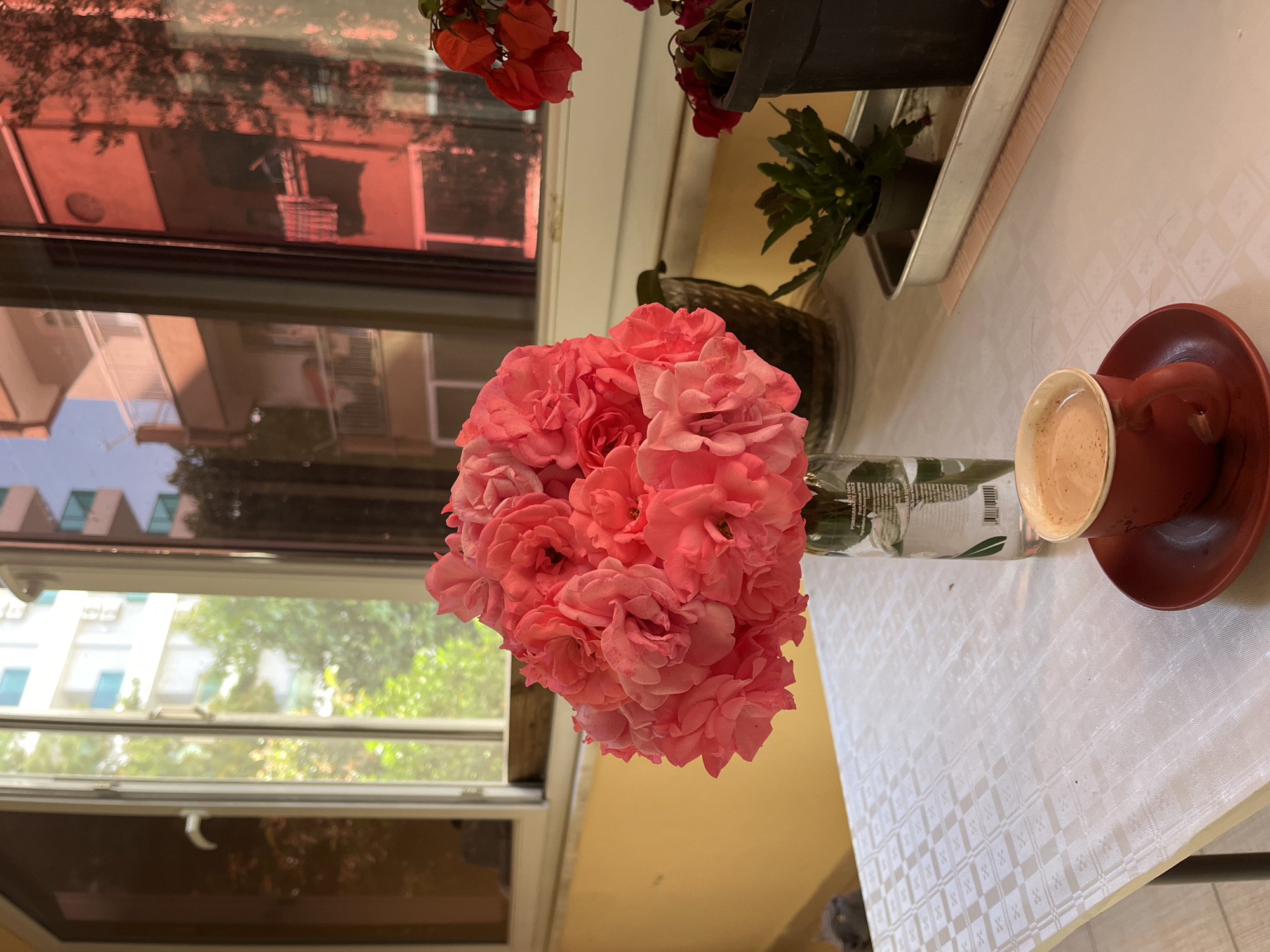 On a table covered with a white patterned cloth, there is a clear vase filled with pink roses, a red cup on a saucer, and other plants, possibly in a window box. The background features a window with a view of a building, as well as another window looking outside towards greenery. The scene appears to be indoors, possibly on a balcony or in a room with large windows. The presence of plants and flowers suggests a domestic setting. Given the information provided in the search query, the location is Alanya, Turkey.