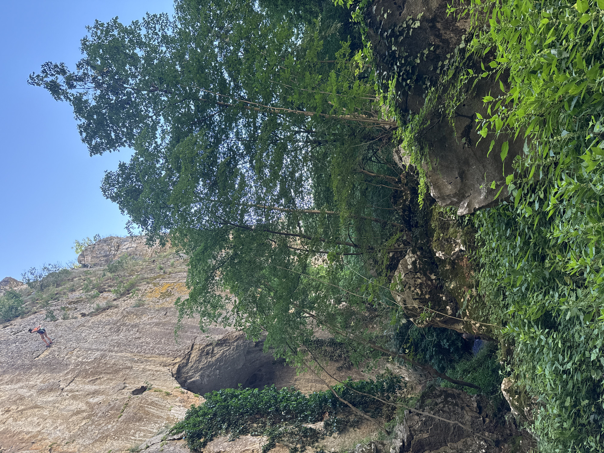 A rock climber is suspended mid-air, descending a sheer rock face in Karlukovo, Bulgaria. The climber, wearing an orange and black harness and red climbing shoes, is positioned high on the crag, with a sheer drop below and lush green foliage in the foreground. The rock face is textured with cracks and crevices, with patches of green ivy clinging to its surface. A small cave opening is visible at the base of the cliff, partially obscured by trees. The sky above is a clear blue, and the scene is bathed in natural daylight.
