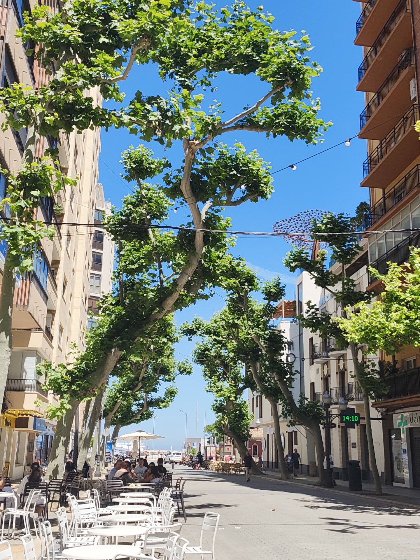 The image depicts a street scene in Dénia, Spain, characterized by trees providing shade over outdoor cafes. The cafes are furnished with white tables and chairs, hosting several people. The street is lined with buildings of varying heights and architectural styles. A digital clock displaying "14:10" is visible on a lamppost. A unique sculptural tree-like decoration with red-and-white elements is positioned on a building rooftop. Above, a clear blue sky is interspersed with tree branches. The street leads toward a distant view of what appears to be a beach or sea.