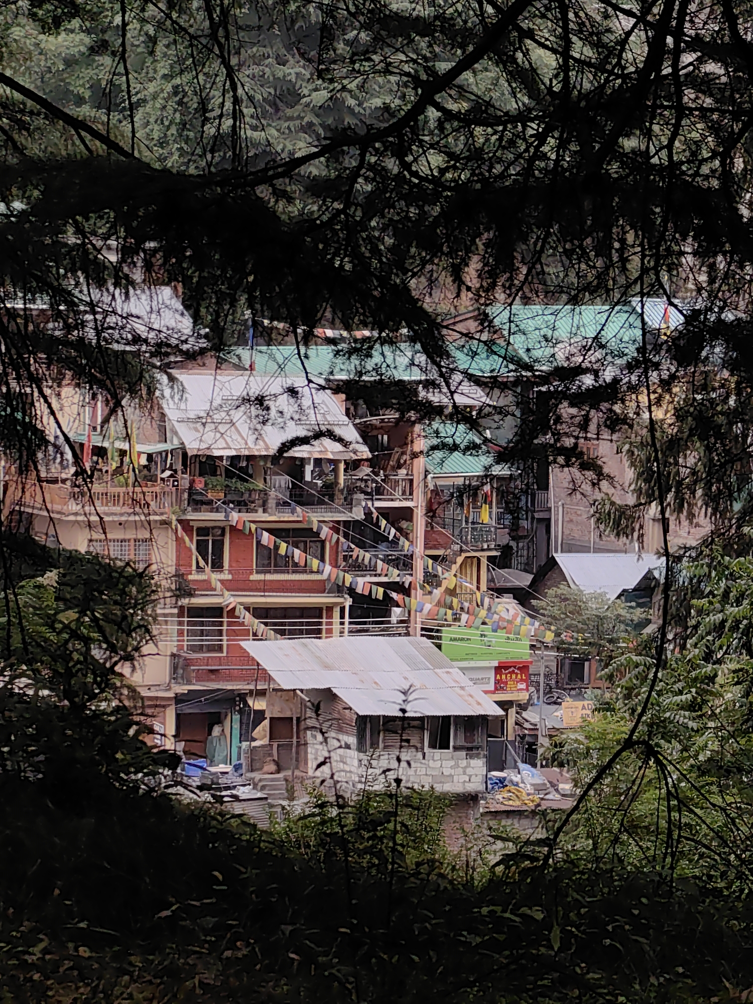 The image captures a view of buildings in Manali, India, seen through the branches of pine trees. The buildings are multi-story structures with a mix of architectural styles. The facade features red brickwork, balconies with railings, and several windows. Prayer flags in various colors are strung across the buildings, indicating a cultural or religious presence. Some buildings have metal roofs, while others have tiled roofs. In the foreground, dense pine branches and foliage create a natural frame, obscuring parts of the view and adding depth. The overall impression is that of a bustling, possibly market-like area nestled within a mountainous or forested environment characteristic of Manali.