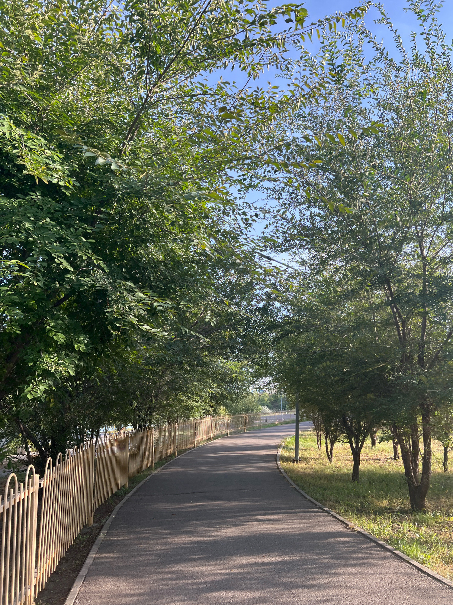 The image shows a paved pathway curving through a park-like setting with mature trees lining both sides. A yellow, decorative metal fence runs along the left side of the pathway. The pathway is asphalt and appears to be a walking or cycling path. Sunlight casts shadows on the path and the grass. The trees are full of green leaves, suggesting it is summer or late spring. The sky is clear and blue. The scene depicts a peaceful outdoor recreation area.