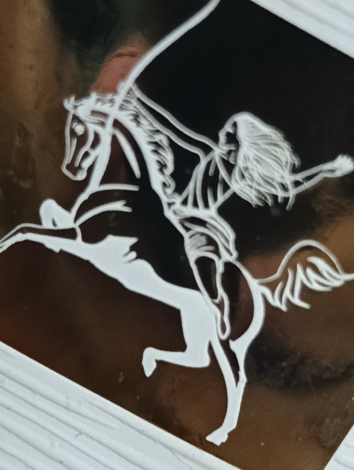 The image displays a stylized, high-contrast depiction of a person riding a horse, rendered in white against a dark, glossy, metallic-brown background. The scene captures a dynamic moment with the horse rearing dramatically on its hind legs.
The primary subjects are a rider and their horse. The rider, positioned centrally on the horse's back, has long, flowing hair trailing backward, suggesting swift motion. They appear to be holding a long, slender object, possibly a spear or a flagstaff, which extends upwards and backward from their hand. The horse is depicted with a flowing mane and tail, and its powerful stance emphasizes its rearing motion.
The activity portrayed is a rider in action on a rearing horse, a pose often associated with bravery, battle, or heroic figures. The graphic style suggests this could be a logo, an emblem, an etching, or a stencil design. The figures are outlined and filled in solid white, creating a strong visual contrast with the dark background.
Notable details include the clean, sharp lines of the white figures, which stand out against the slightly textured, reflective dark brown surface. The background material appears to have a metallic sheen, possibly bronze or a similar polished metal, which reflects light subtly. There is no visible text in the image. The overall aesthetic evokes a sense of power, history, or mythology, often seen in coats of arms or monuments. The image's location context is Biliaivka, Ukraine.