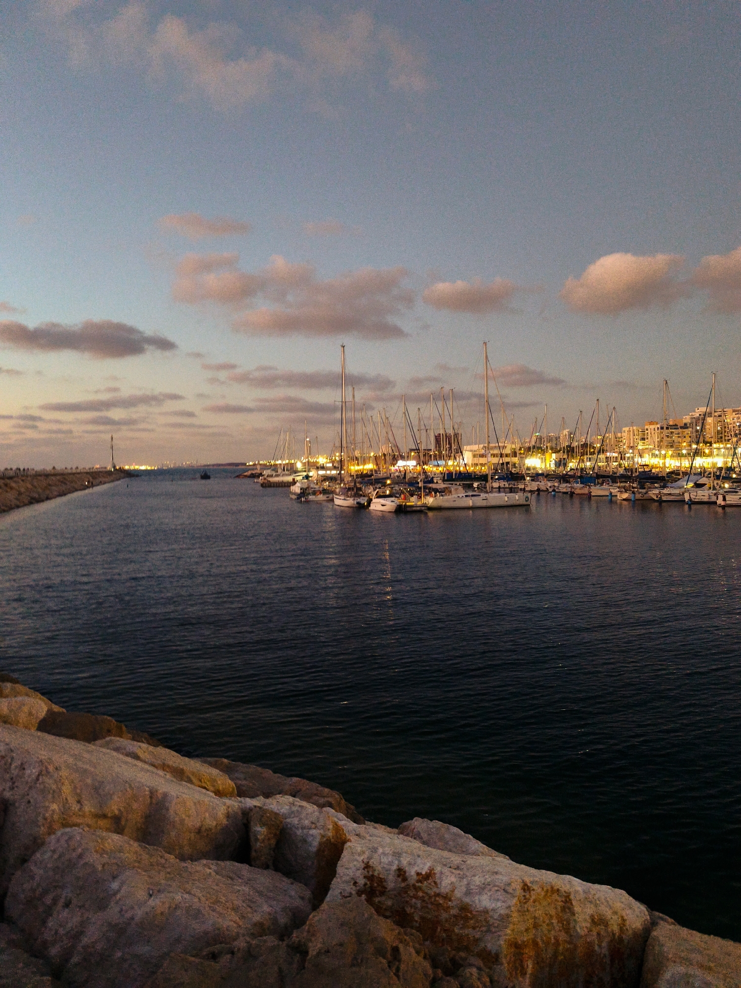 The image depicts a twilight view of the marina in Ashkelon, Israel. A stone breakwater with a lighthouse at its end extends into the dark blue water on the left side of the frame. A fleet of sailboats and yachts are docked in the marina on the right, their masts creating a dense forest of lines against the darkening sky. Buildings illuminated with warm yellow lights line the waterfront behind the boats. The sky is a gradient of pale blue at the top, transitioning to pink and orange hues near the horizon, with scattered clouds tinged with pink. The foreground is occupied by large, rough-hewn rocks, some of which are illuminated by the remaining light. There are no visible people in the image.