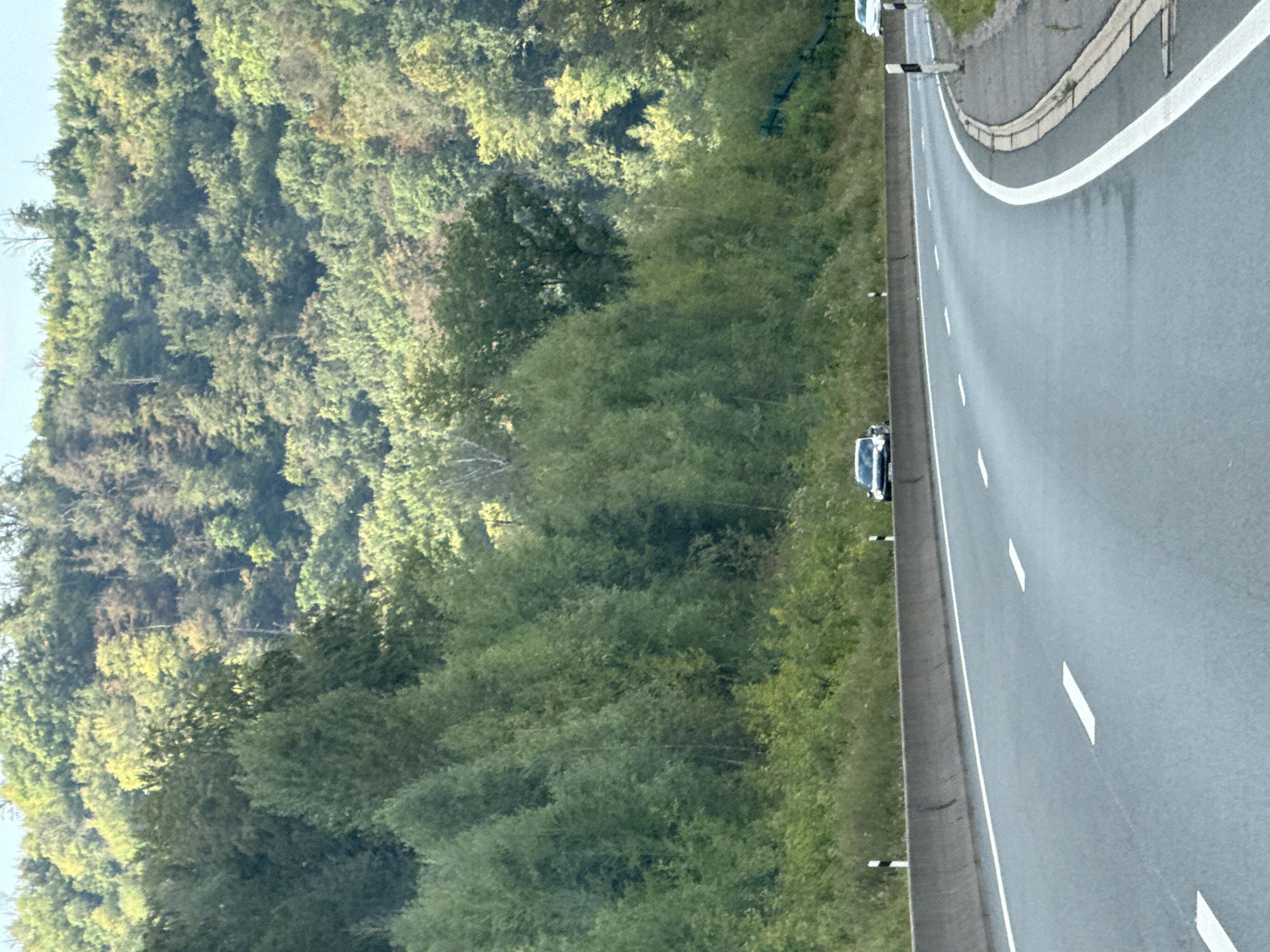 The image depicts a scenic highway scene in the vicinity of Bad Lauterberg im Harz, Germany. A paved highway curves to the right, with white lane markings visible on the asphalt. A concrete barrier separates the highway from a grassy embankment and a dense forest that covers a hillside. Two cars are visible on the highway: a white car in the distance on the right side of the frame, and a dark-colored car in the left lane. The forest is lush and green, suggesting a temperate climate. The sky is overcast, with a few hints of sunlight filtering through the trees.