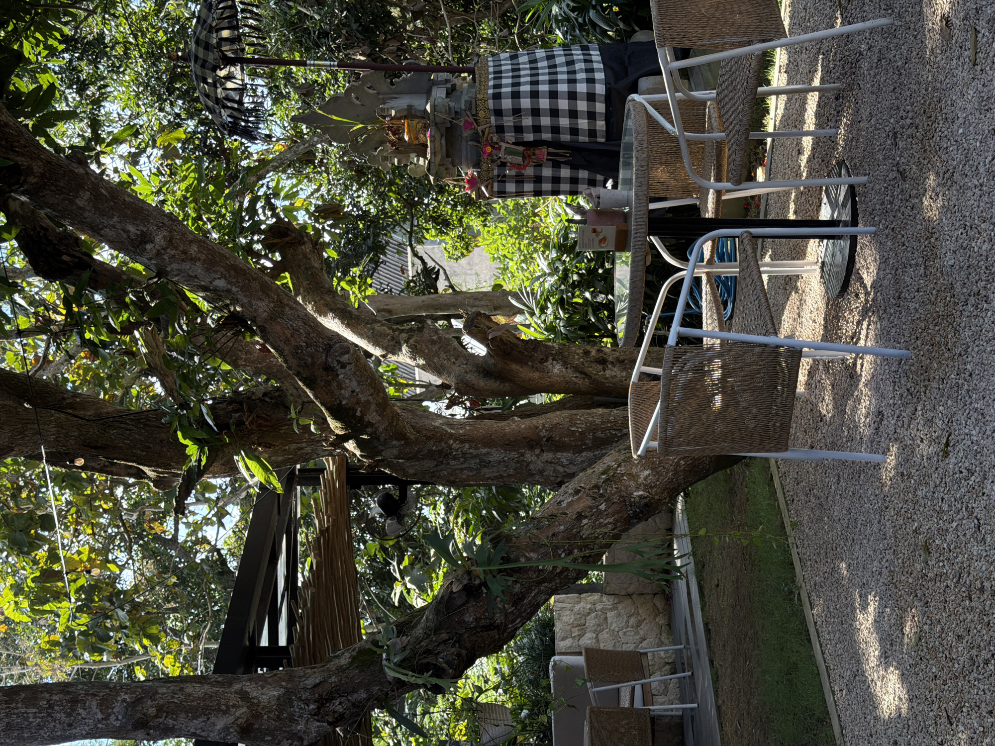 This image depicts an outdoor seating area in Kuta Selatan, Indonesia. The scene is dominated by a large tree with sprawling branches, providing shade over a small round table with four wicker chairs. The table is set with glasses and what appear to be menus or coasters. To the right of the table, a traditional Balinese shrine is visible, adorned with a black and white checkered cloth and an umbrella-like structure. The ground is covered in small gravel, with patches of grass and some stonework in the background. Lush green foliage surrounds the area, indicating a tropical setting. The lighting suggests it is daytime, with sunlight dappling through the leaves.