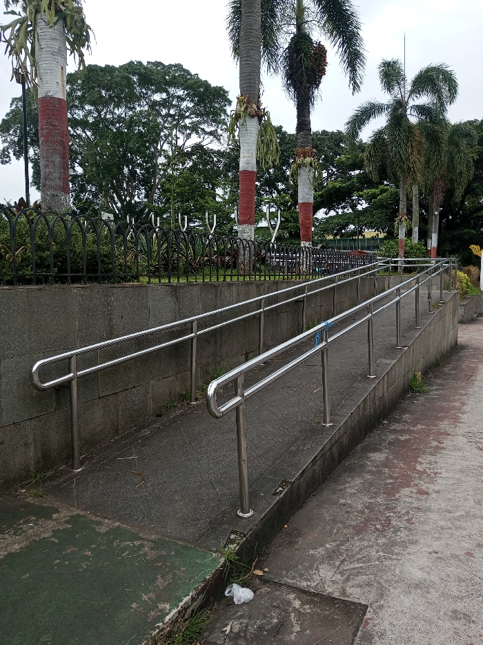 This image depicts an outdoor public space in Cianjur, Indonesia, featuring a concrete accessibility ramp system under an overcast sky. In the foreground, two parallel dark grey concrete ramps ascend from the lower left towards the upper right. Each ramp is equipped with a double-bar stainless steel handrail, secured by vertical posts; a blue tie or string is present on one of the lower handrails. A dark grey, rough-hewn stone retaining wall supports the left ramp, while a lower, smoother concrete wall borders the right ramp. The ground level in the immediate foreground consists of stained concrete, including a patch of green paving on the left, and a crumpled white plastic bag lying near the base of the ramps.
Beyond the ramps, a decorative dark metal fence with arching elements separates the walkway from a treed area. Visible in the background are several tall palm trees, their trunks painted white with a distinct red band near the base, some exhibiting hanging plant material or epiphytes. Further back, a dense canopy of various green trees forms the backdrop. The sky is uniformly light grey, indicating overcast conditions. No people or animals are present in the scene.