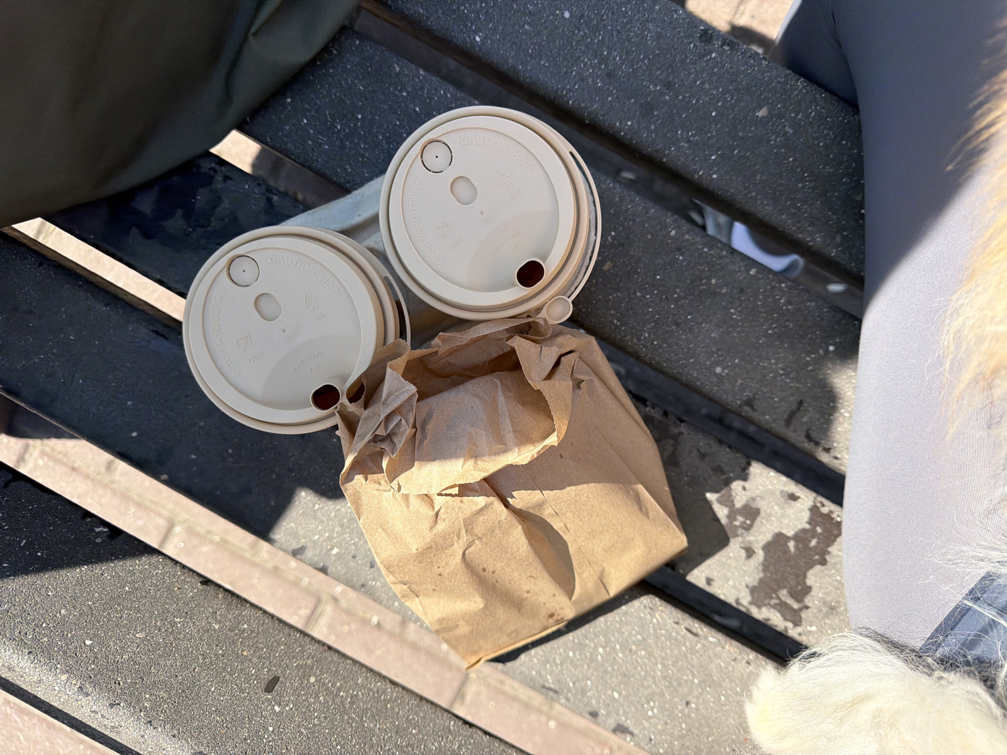 The image shows a close-up, overhead shot of a brown paper bag and two white coffee cups with lids on a gray bench with black trim. Part of a gray-clothed leg, possibly wearing blue jeans, and some white fur are visible on the right side of the bench. The coffee cup lids have small openings. The bench appears to be outdoors, likely in a public space. Markings on the coffee cup lids include "CAUTION: HOT", "PP 3001", and "www.vzip.ru 7-8". The image does not provide information to confirm the location in the city of Khimki, Russia.