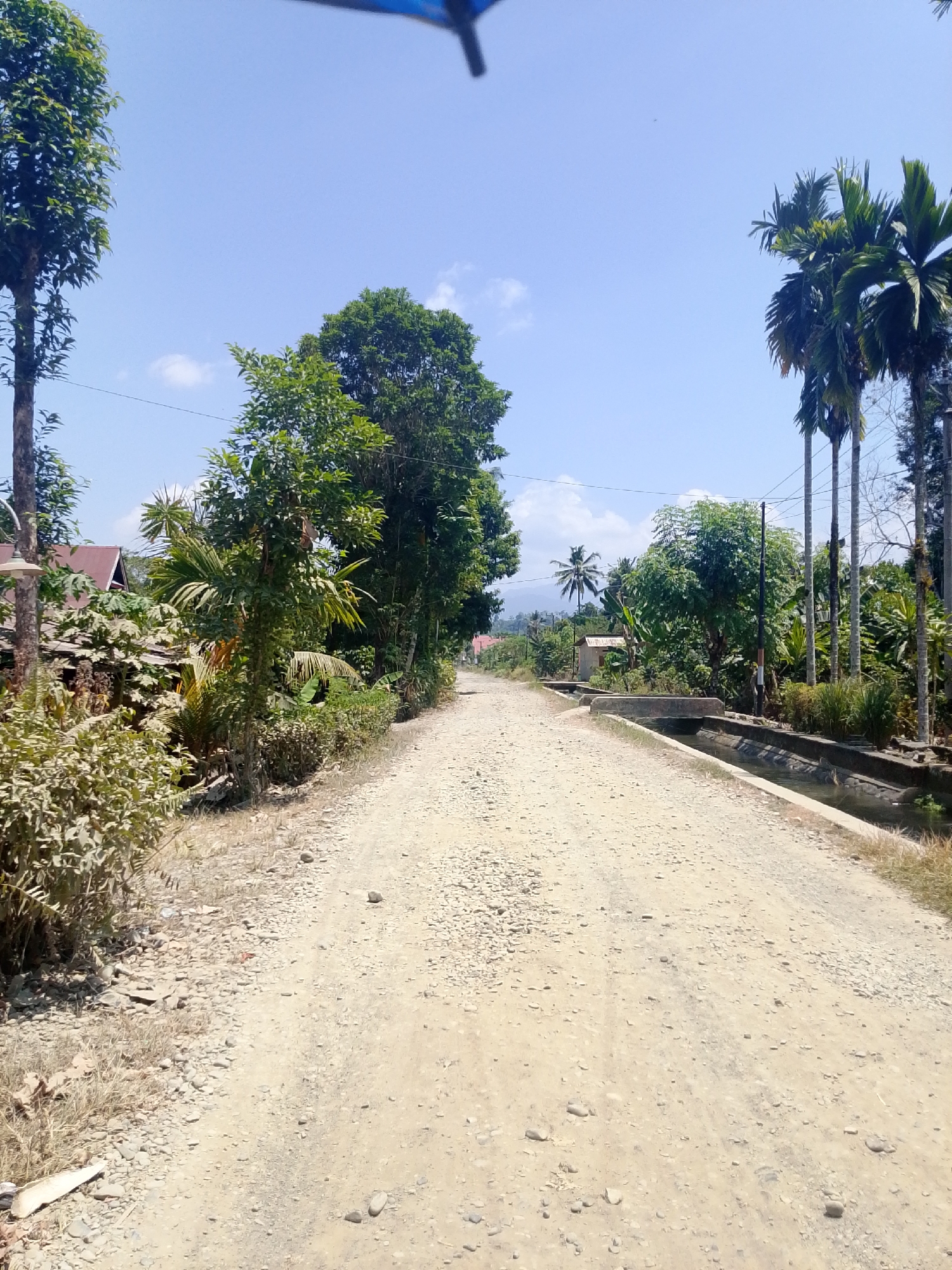 A dirt road runs through a rural area, lined with trees and vegetation. On the left side of the road, a cluster of houses with reddish-brown roofs is visible behind a dense line of foliage. A utility pole with a lamp is also present on this side. On the right side of the road, a concrete ditch or canal runs parallel to the road, with water flowing within it. Beyond the canal, more trees, including palm trees, are seen. In the distance, mountains are faintly visible under a clear blue sky with a few scattered clouds. The scene depicts a sunny day in a tropical or subtropical region, likely in Se'pon, Indonesia, given the vegetation and architectural style. No people are present in the image.